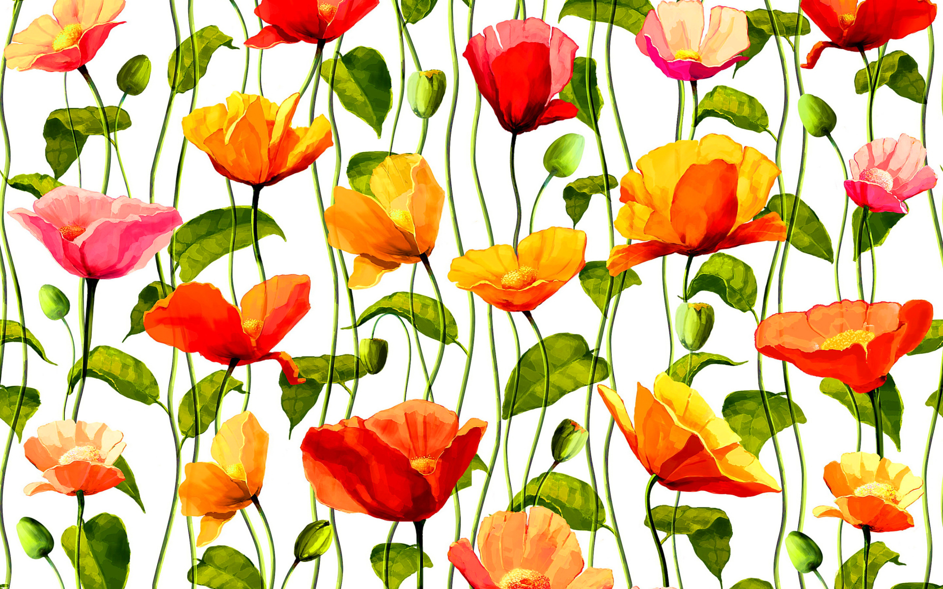 Free download wallpaper Flowers, Vine, Flower, Colors, Colorful, Artistic, Poppy on your PC desktop