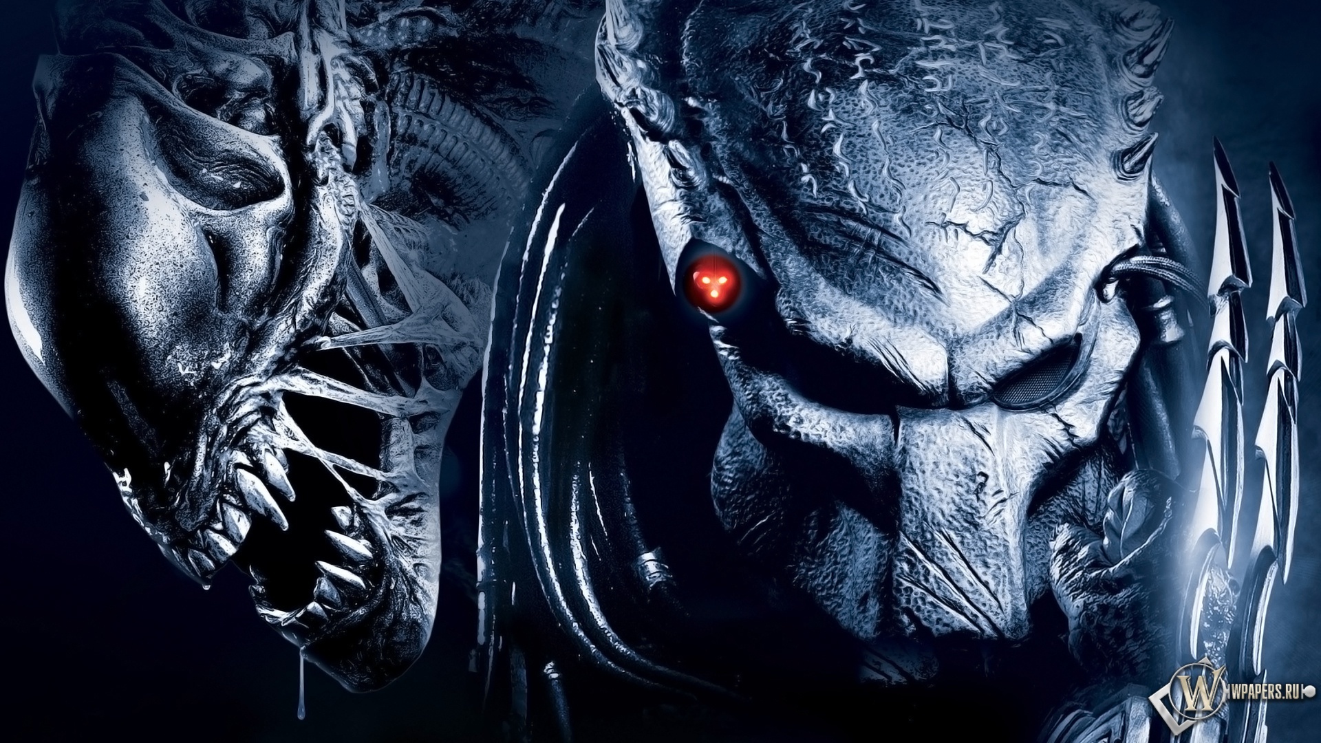 206860 Bild herunterladen alien: das unheimliche wesen aus einer fremden welt, filme, aliens vs predator 2, außerirdischer, raubtier - Hintergrundbilder und Bildschirmschoner kostenlos
