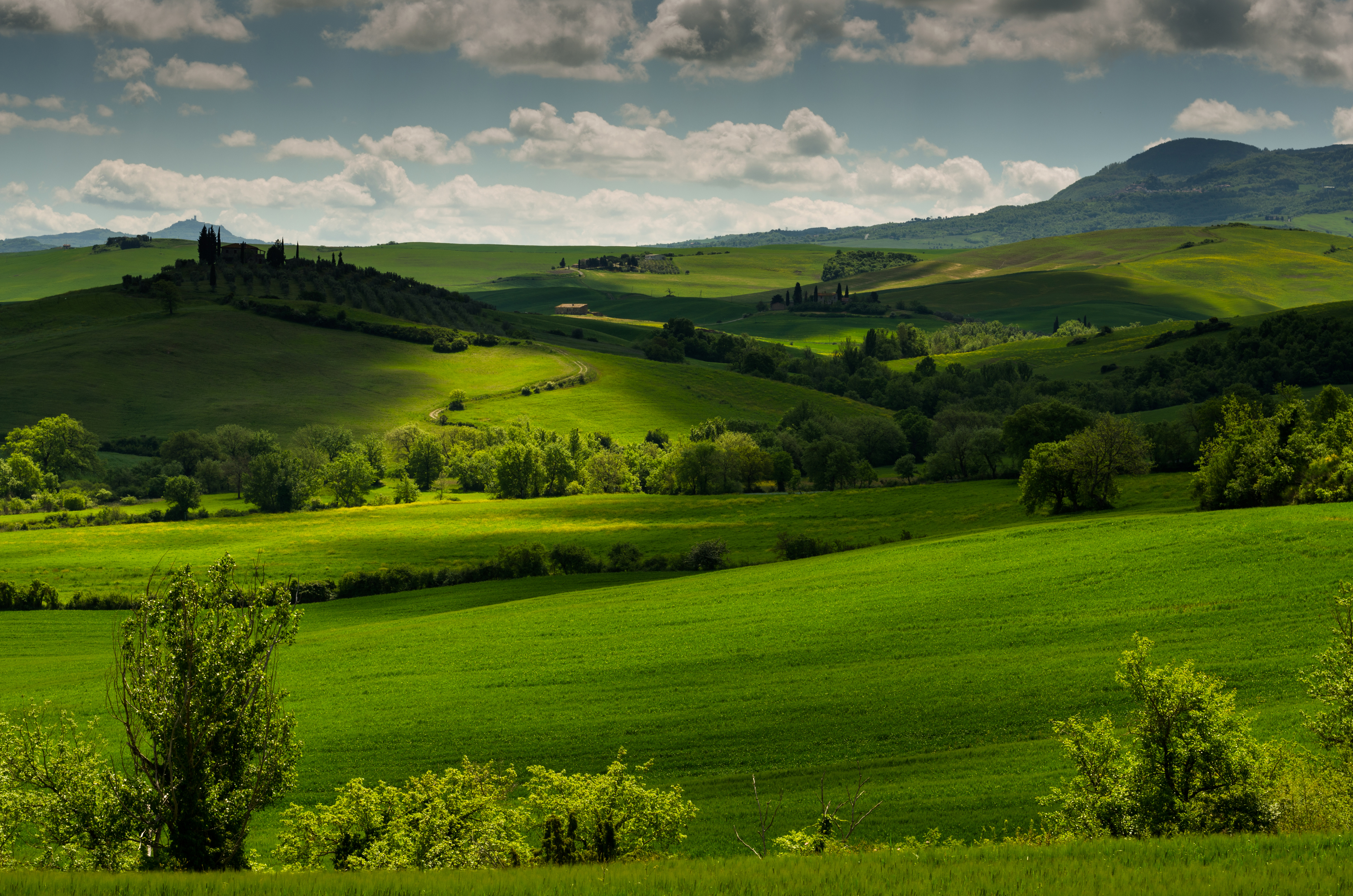 Скачать обои бесплатно Трава, Италия, Зеленый, Холм, Ландшафт, Фотографии, Тоскана картинка на рабочий стол ПК