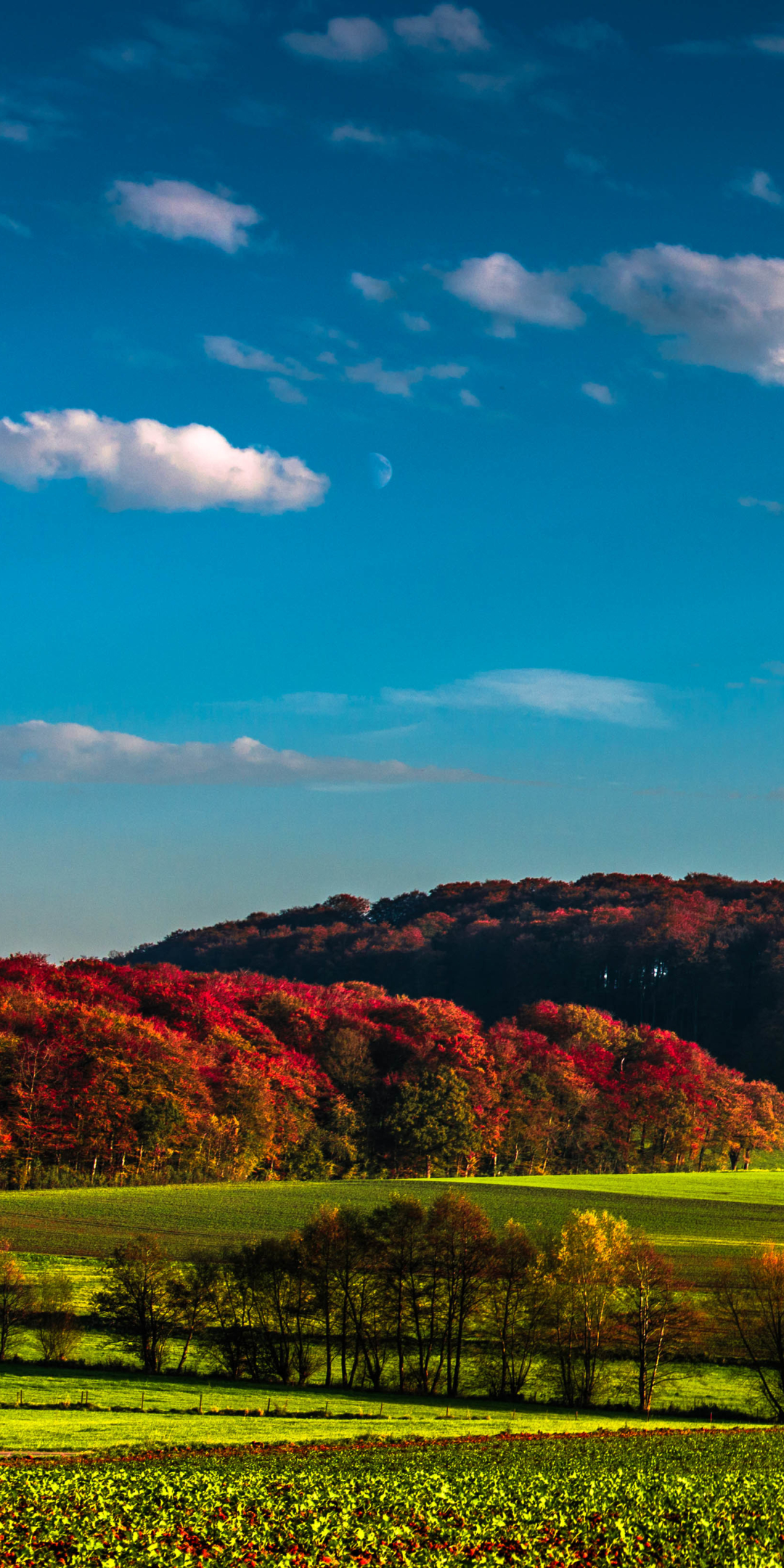 Handy-Wallpaper Landschaft, Natur, Herbst, Baum, Feld, Himmel, Erde/natur, Aufstellen kostenlos herunterladen.