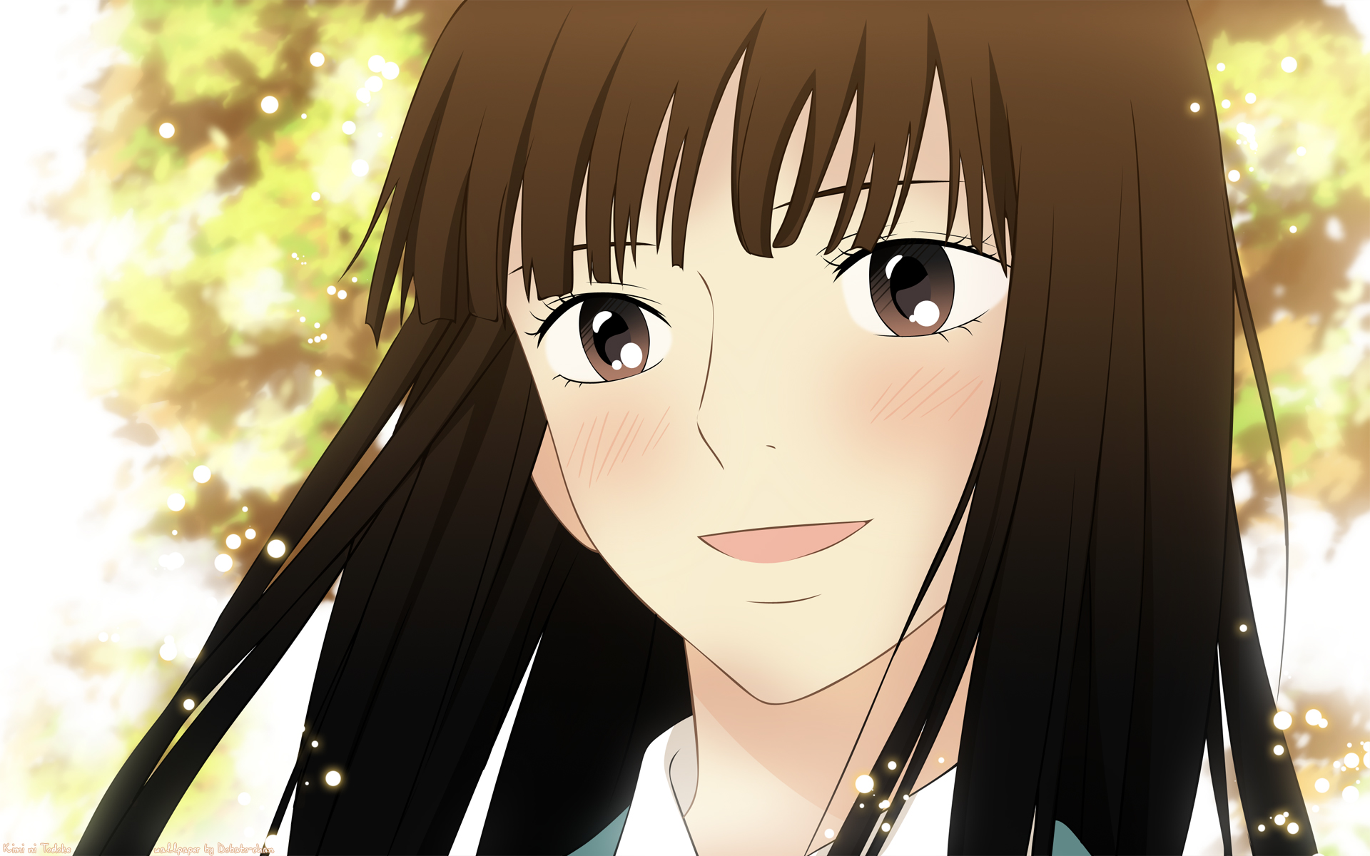 anime, kimi ni todoke, sawako kuronuma