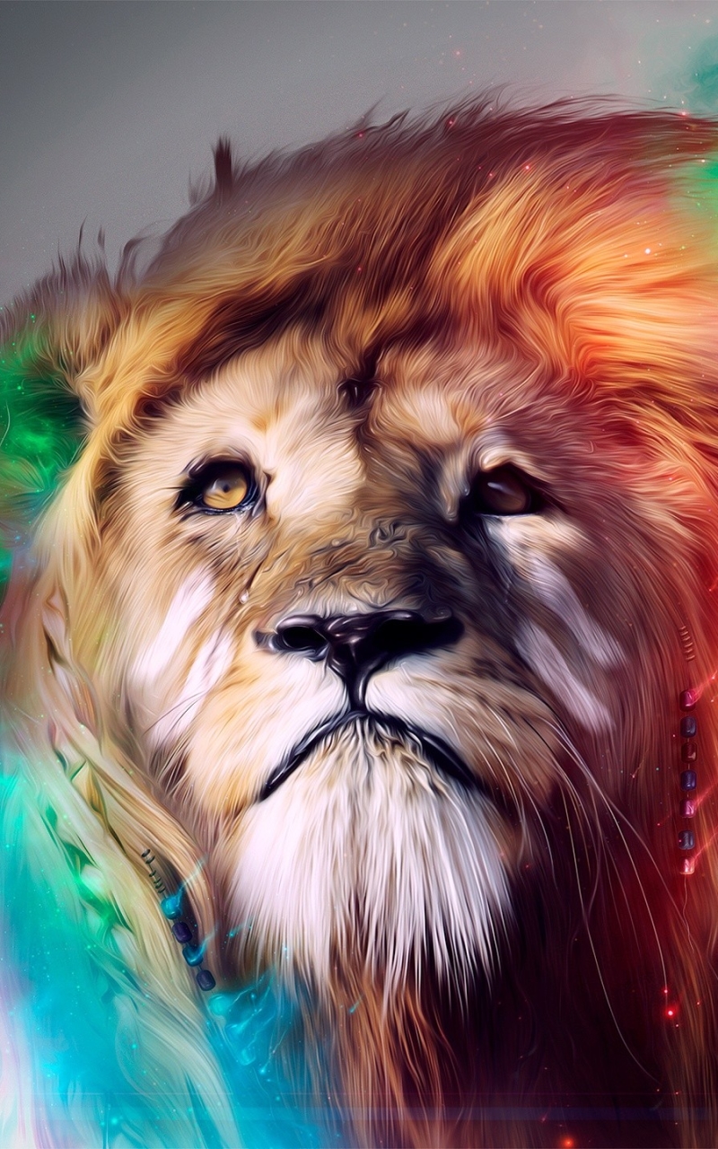 Download mobile wallpaper Cats, Lion, Animal, Colorful for free.