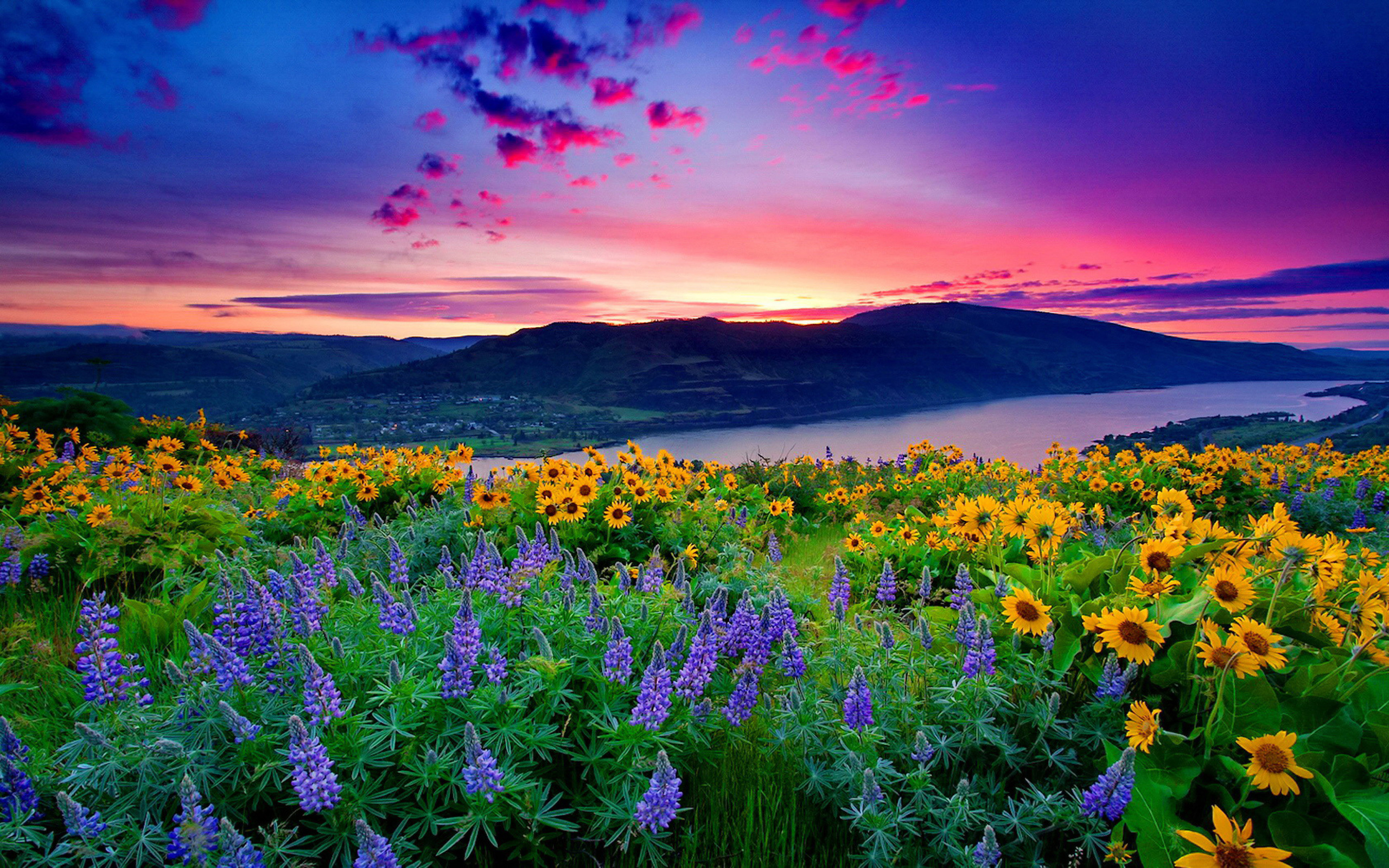 Free download wallpaper Landscape, Flowers, Mountain, Lake, Flower, Earth, Spring on your PC desktop