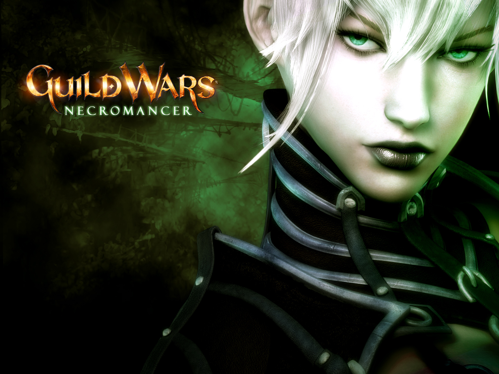 521857 descargar fondo de pantalla videojuego, guild wars: protectores de pantalla e imágenes gratis