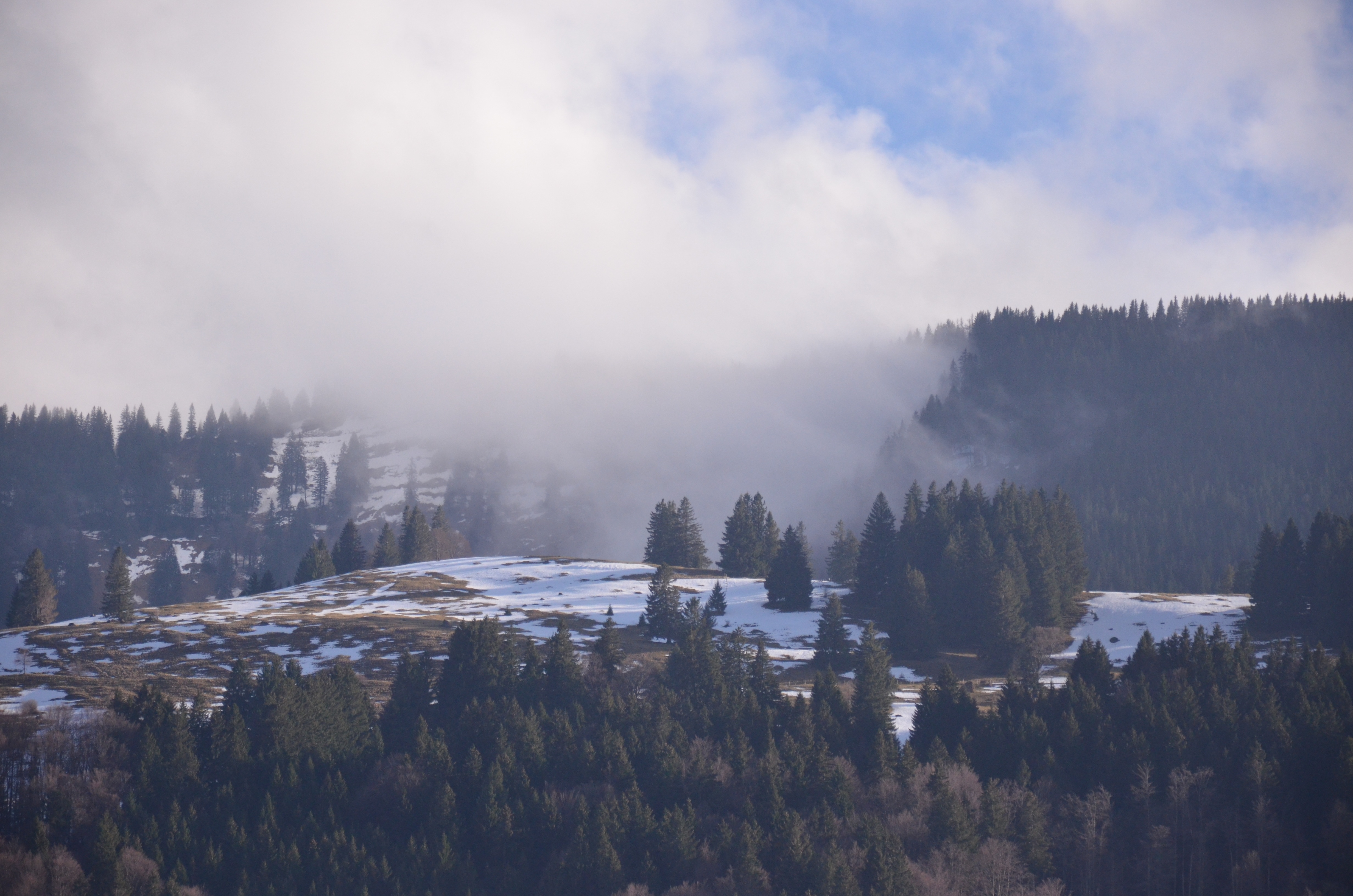 PCデスクトップに山脈, 雪, 森林, 霧, 自然, 森画像を無料でダウンロード