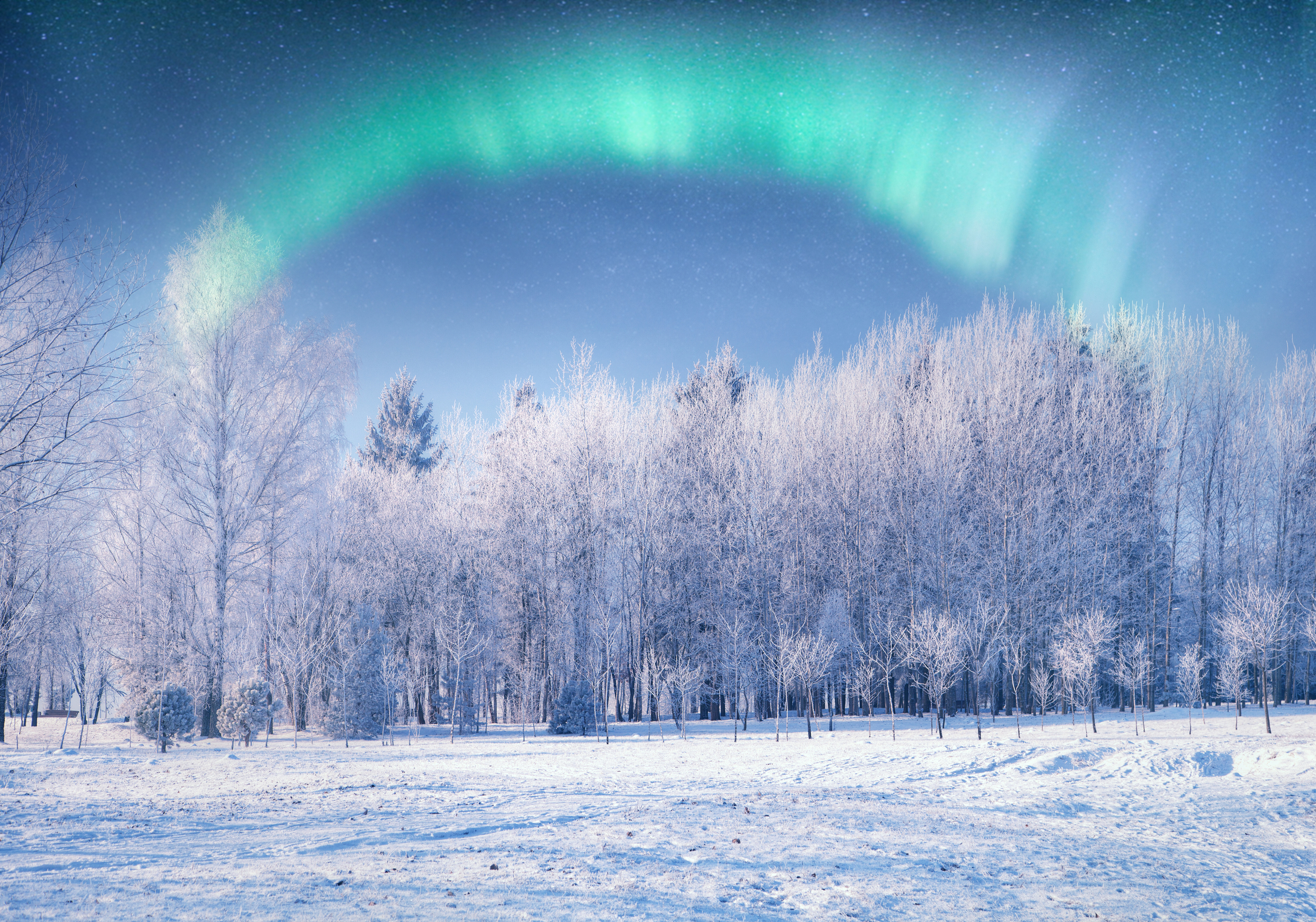 Descarga gratis la imagen Invierno, Naturaleza, Nieve, Aurora Boreal, Tierra/naturaleza en el escritorio de tu PC