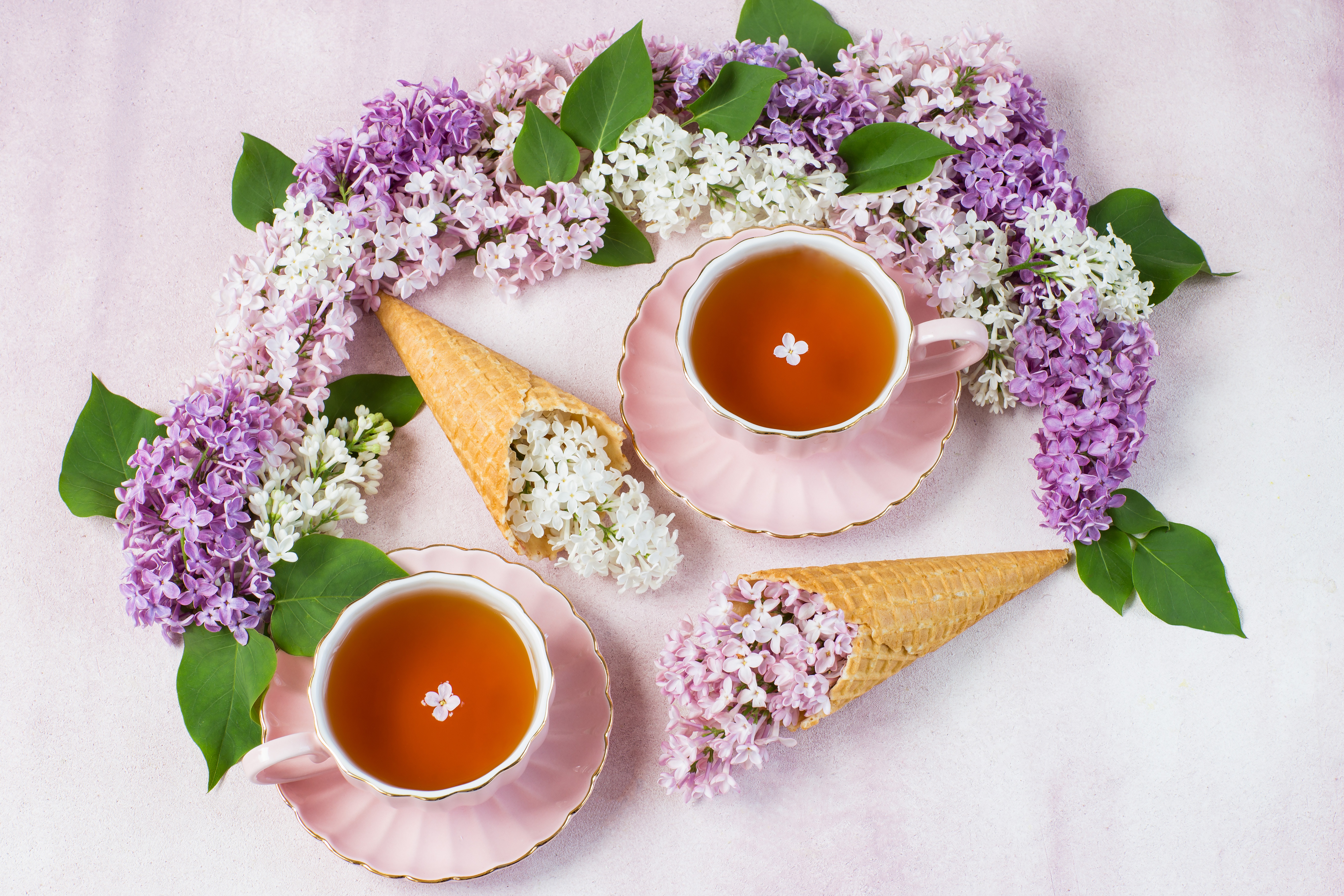 Download mobile wallpaper Food, Lilac, Still Life, Flower, Cup, Tea, Waffle Cone for free.