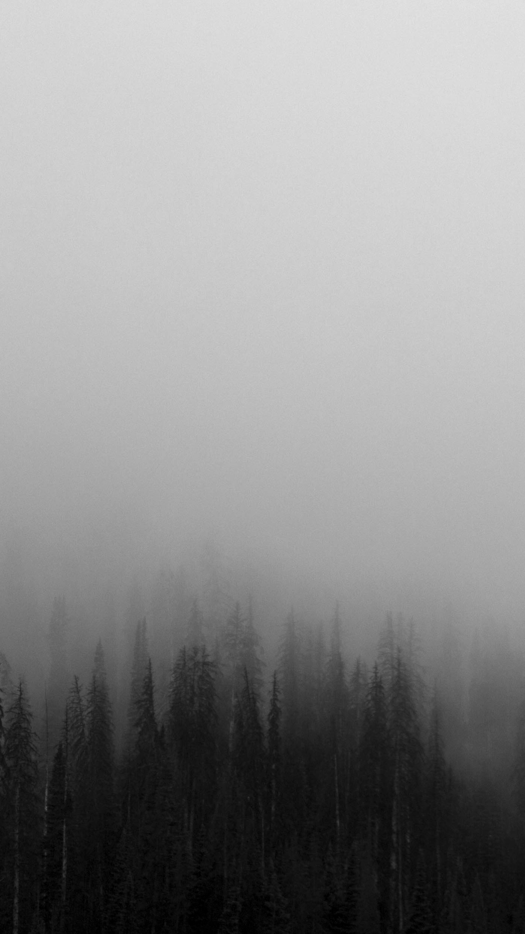 Скачати мобільні шпалери Ліс, Туман, Земля безкоштовно.