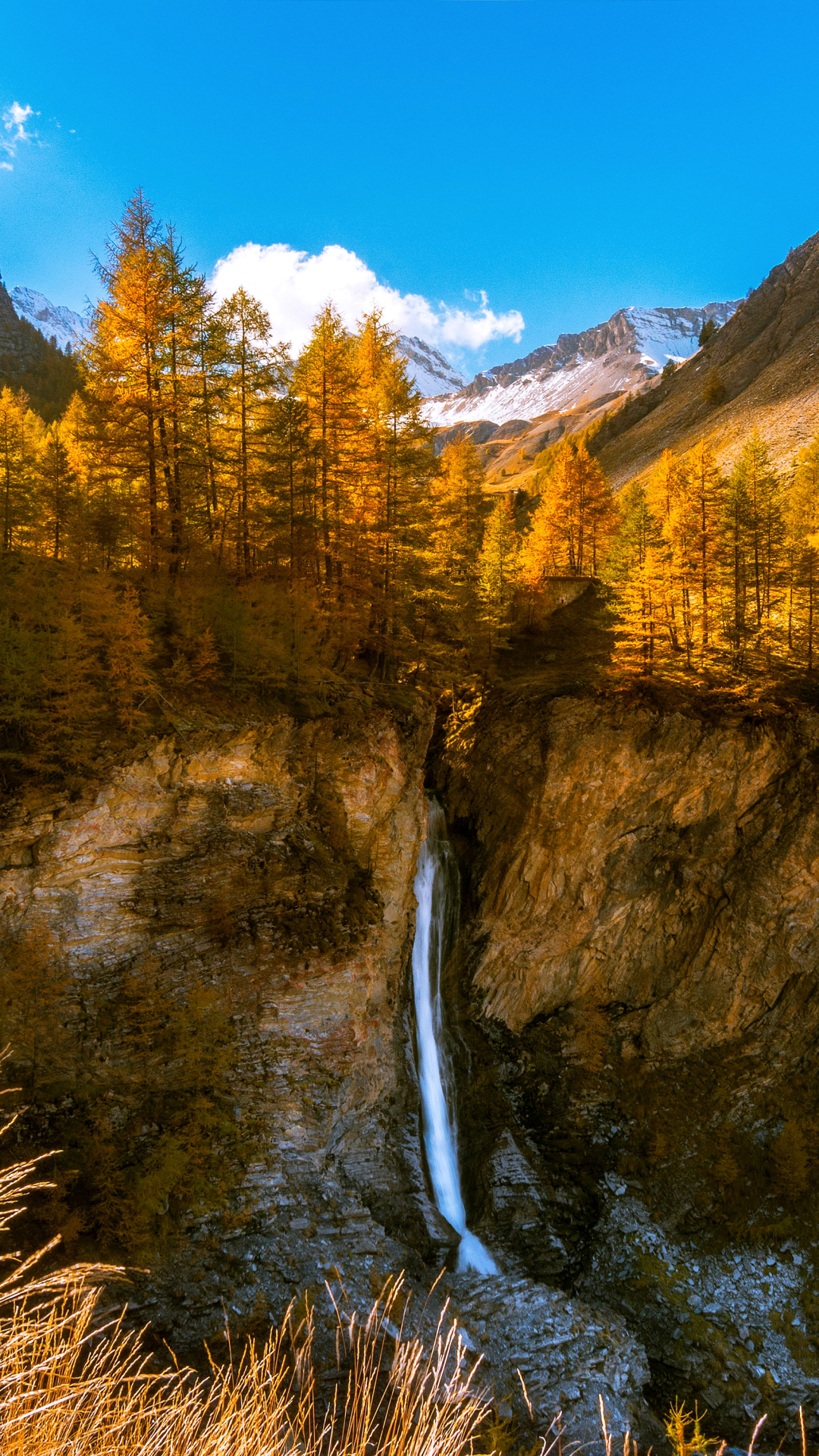 Handy-Wallpaper Natur, Herbst, Wasserfälle, Wasserfall, Baum, Erde/natur, Clifford Braun kostenlos herunterladen.