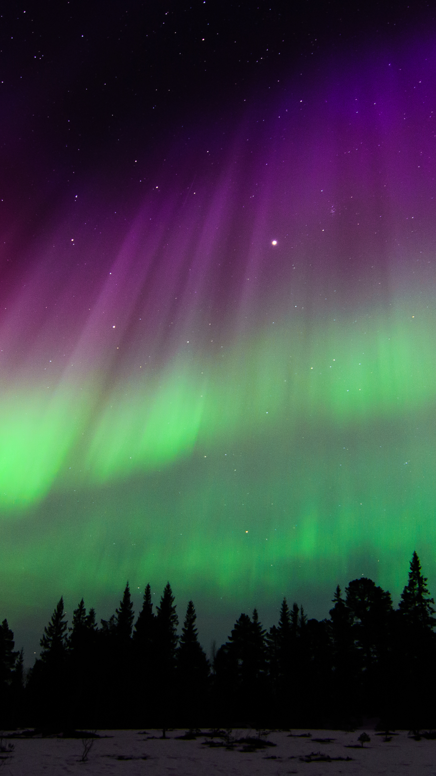 Download mobile wallpaper Sky, Stars, Earth, Aurora Borealis, Norway for free.