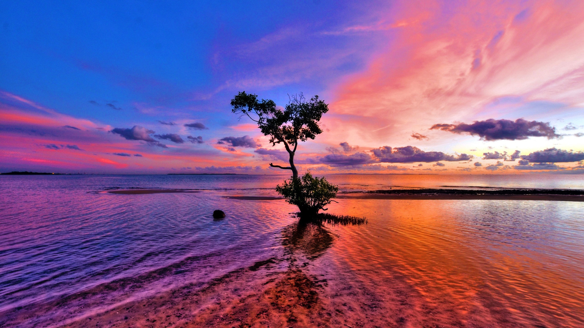 Free download wallpaper Rivers, Trees, Landscape, Sunset on your PC desktop