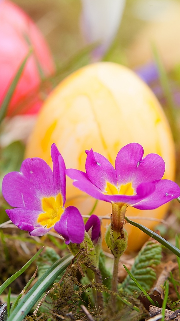 Download mobile wallpaper Easter, Holiday for free.