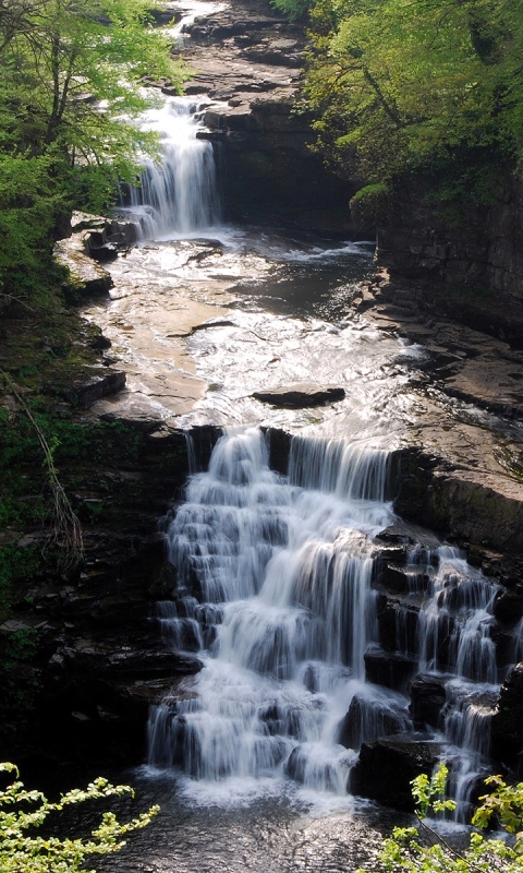 Descarga gratuita de fondo de pantalla para móvil de Agua, Cascadas, Rio, Cascada, Bosque, Tierra, Río, Tierra/naturaleza.