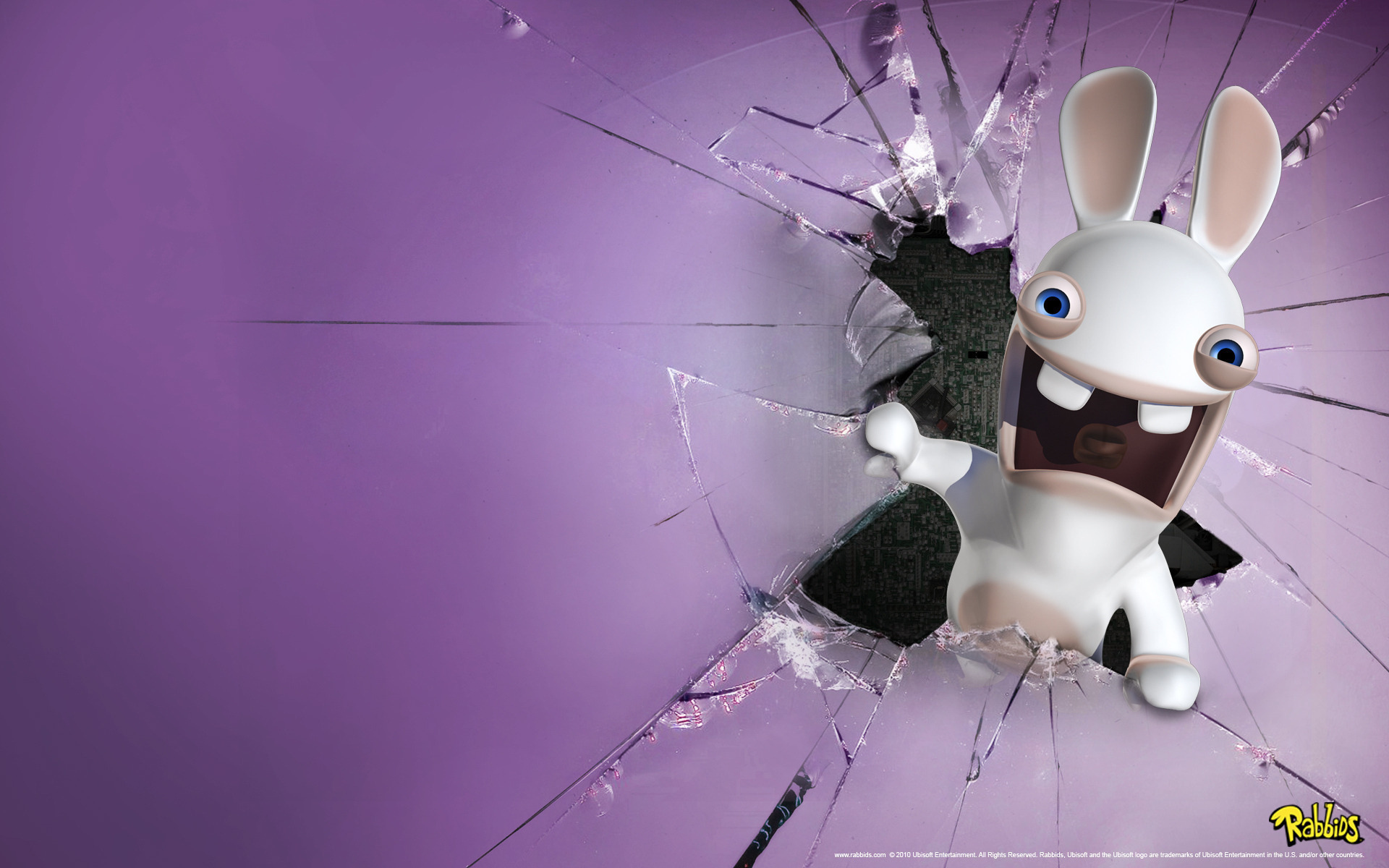 funny, animals, background, rabbits, violet for Windows