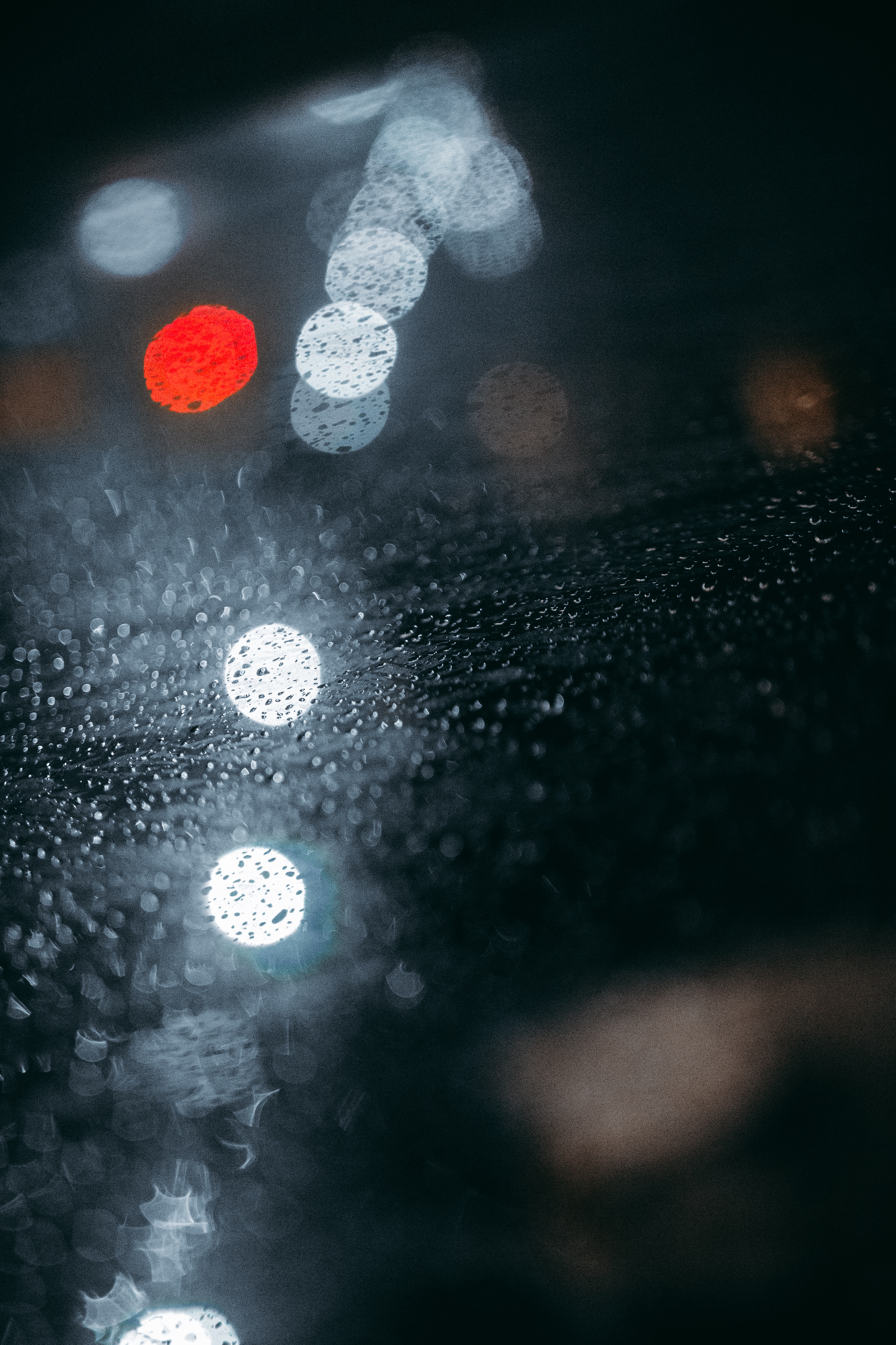 bokeh, drops, macro, glare, wet, blur, smooth, boquet wallpapers for tablet