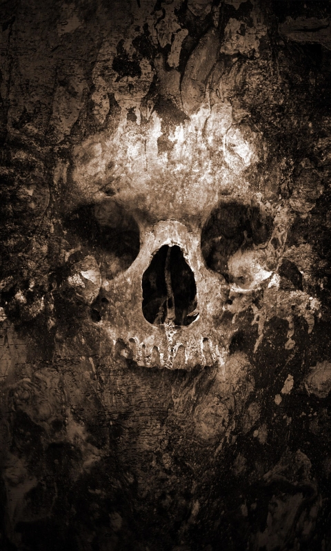 Download mobile wallpaper Dark, Skull for free.