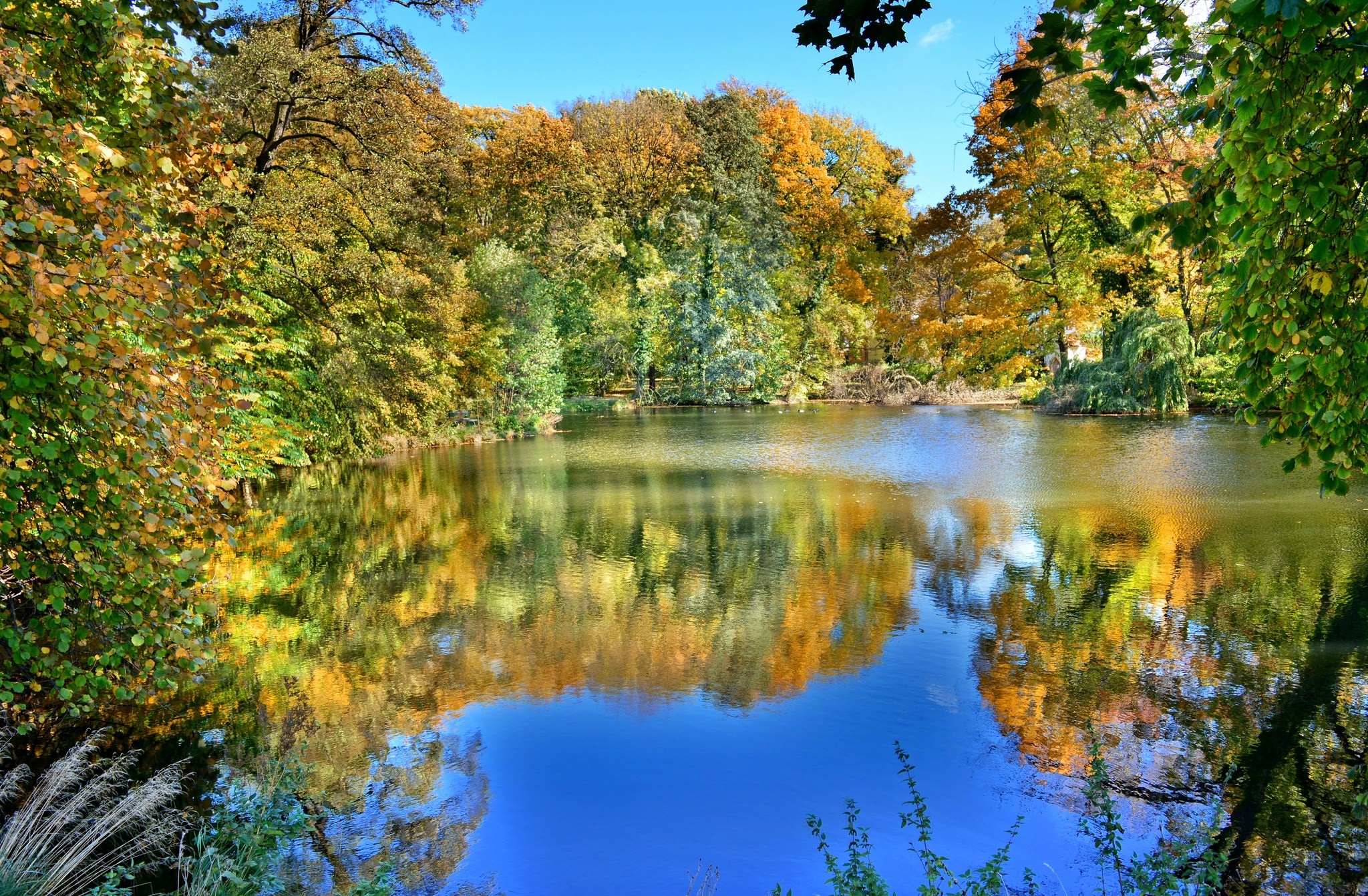 Baixe gratuitamente a imagem Lagos, Lago, Terra/natureza na área de trabalho do seu PC