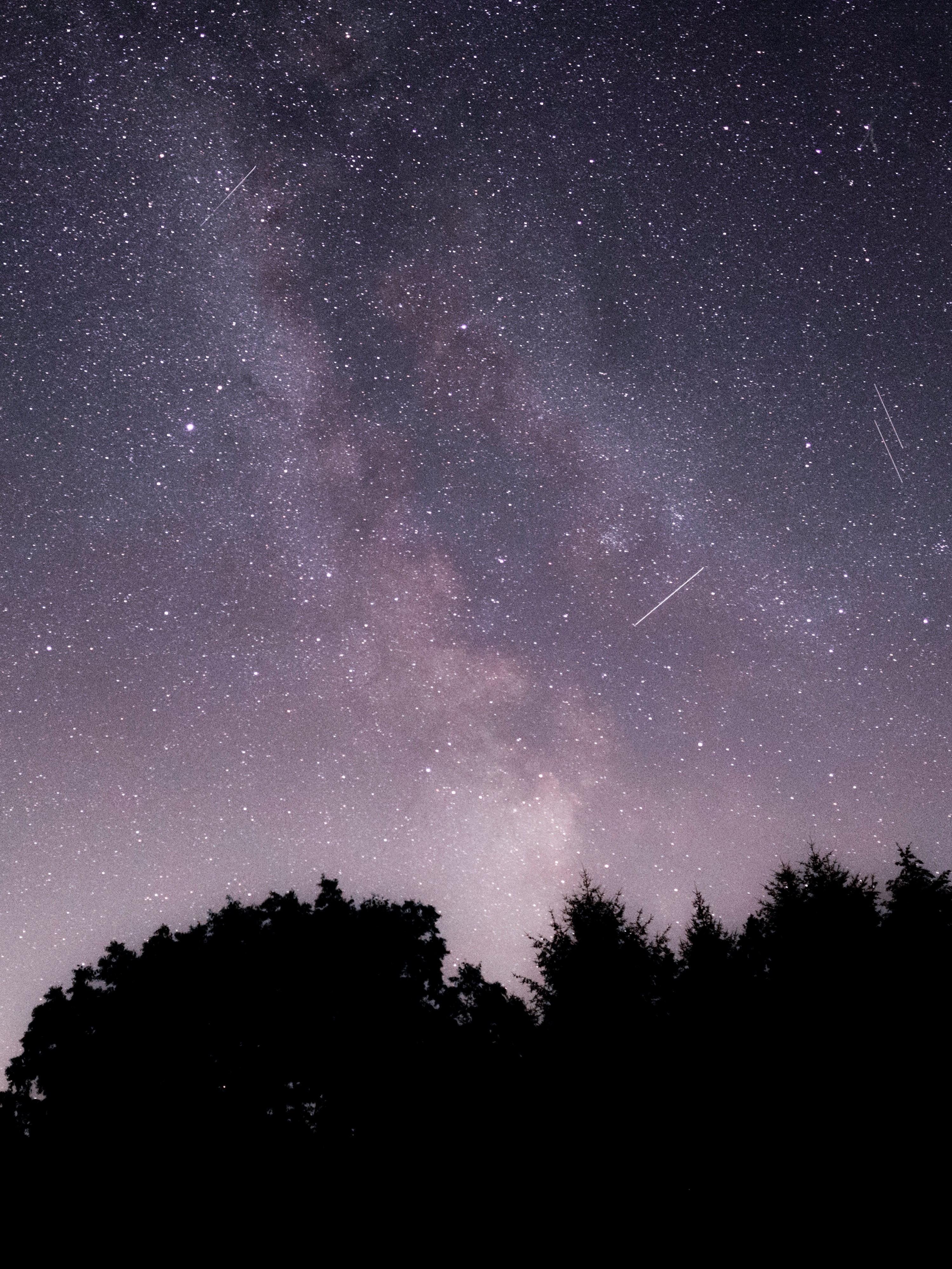 Descarga gratuita de fondo de pantalla para móvil de Cielo, Estrellas, Árboles, Oscuro, Noche, Nebulosa.