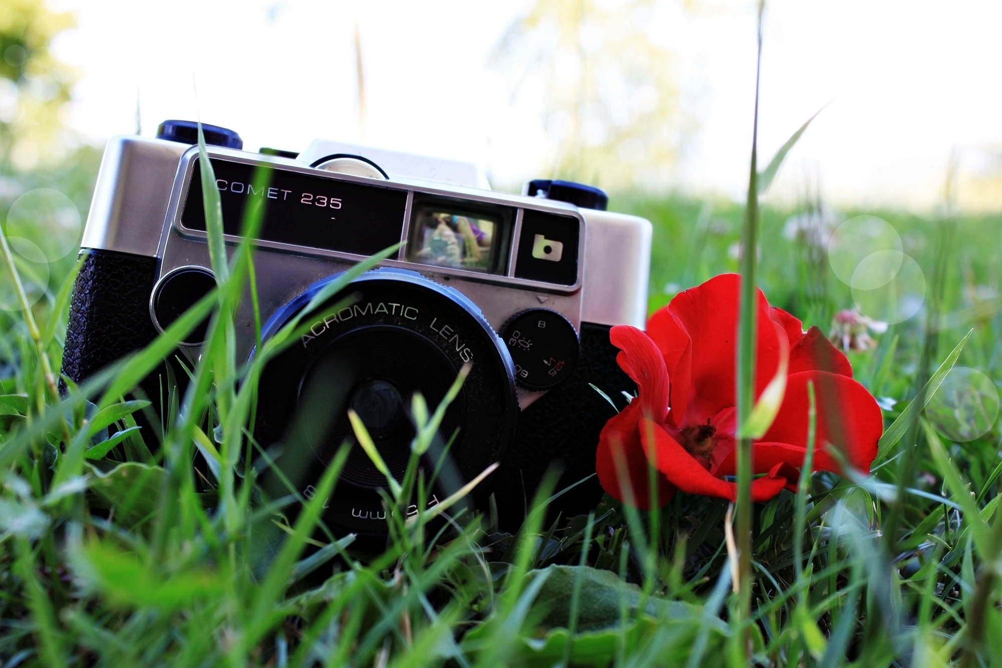 lens, grass, background, red, flower, plant, miscellanea, miscellaneous, mood, camera, poppy, floweret, moods