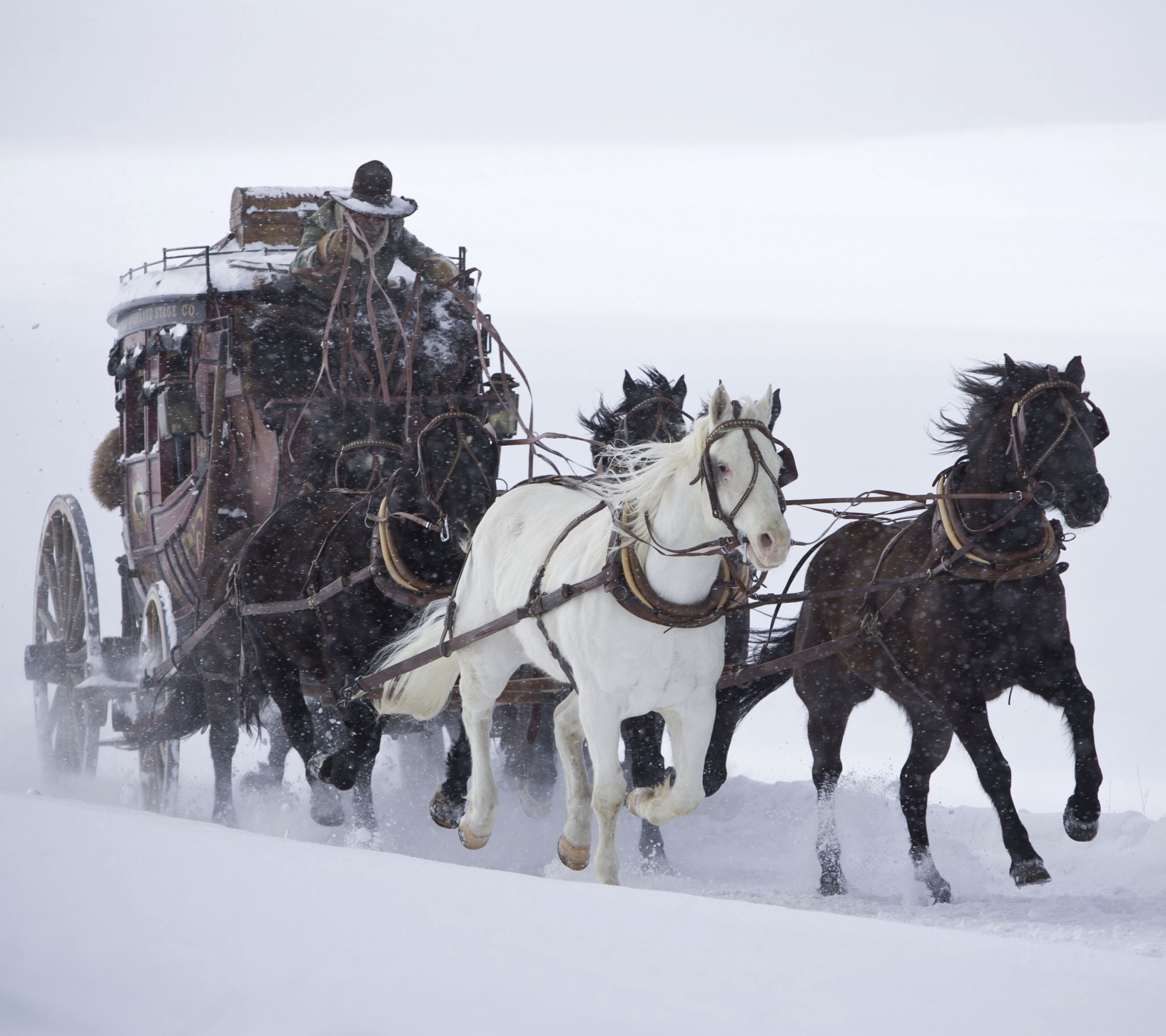 Download mobile wallpaper Horse, Movie, The Hateful Eight for free.