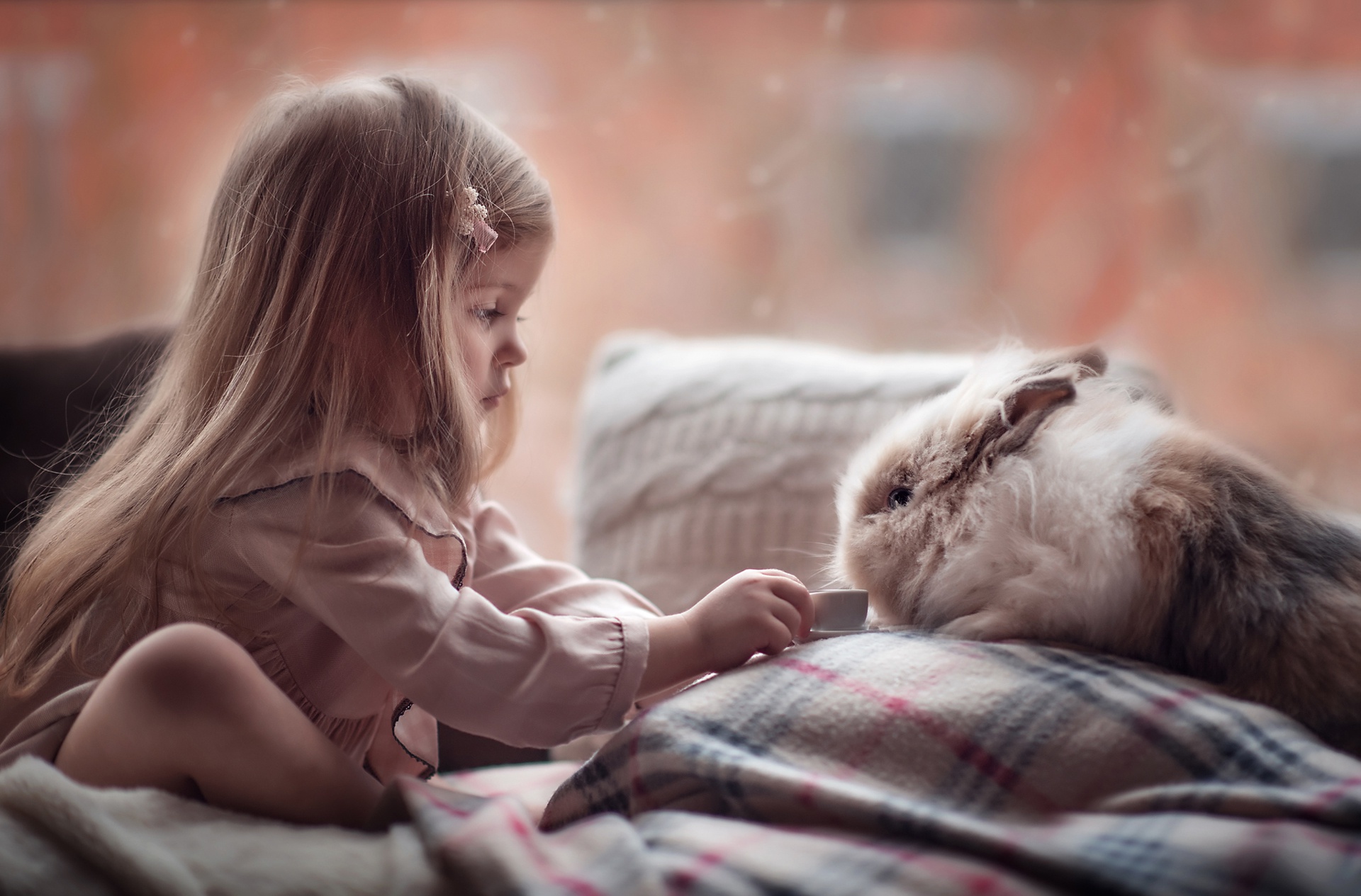 Téléchargez des papiers peints mobile Enfant, Lapin, Photographie, Petite Fille gratuitement.