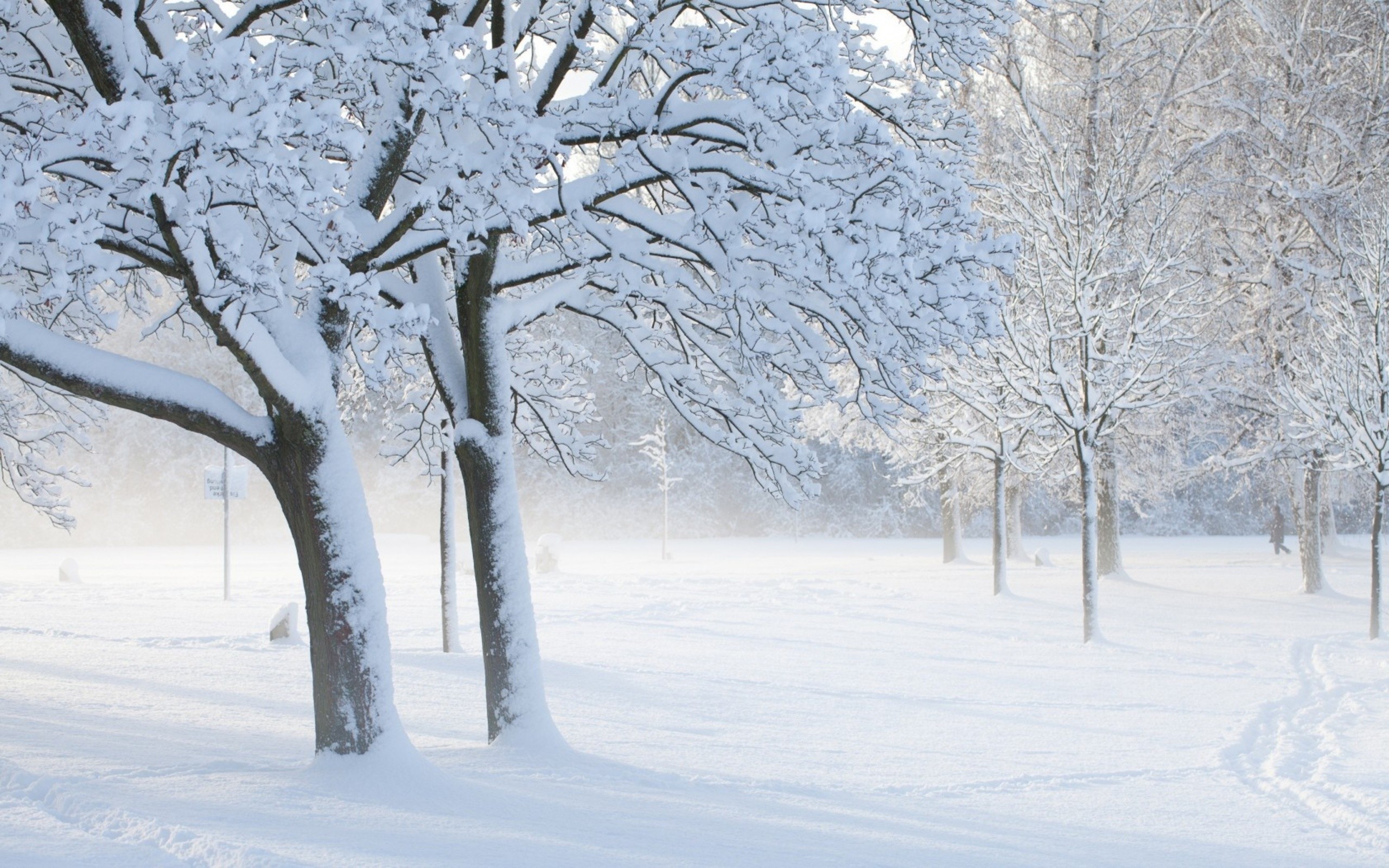 Free download wallpaper Winter, Earth on your PC desktop