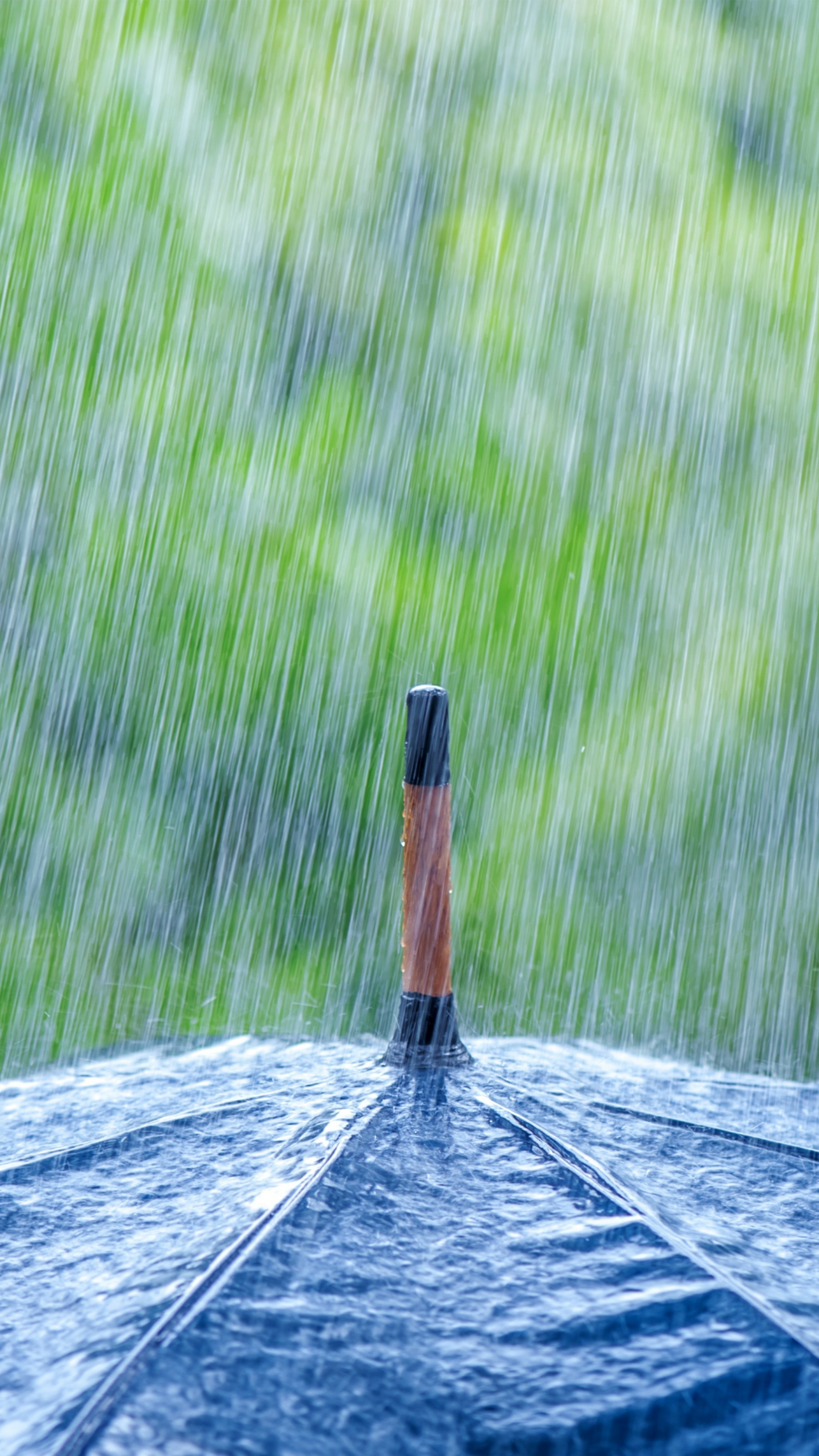 Download mobile wallpaper Rain, Umbrella, Photography for free.