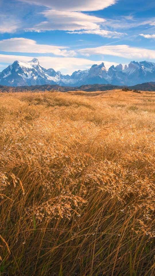Handy-Wallpaper Landschaft, Natur, Berg, Feld, Gebirge, Wolke, Chile, Patagonien, Erde/natur kostenlos herunterladen.