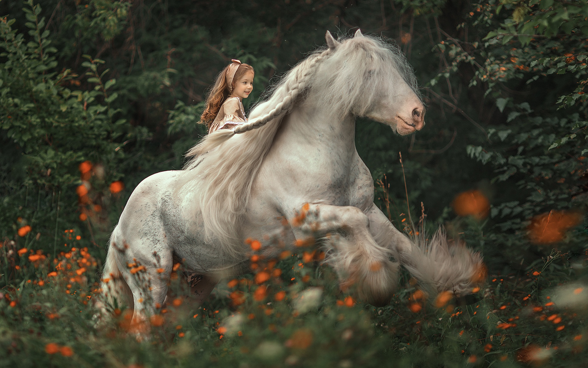 Baixe gratuitamente a imagem Criança, Cavalo, Fotografia, Ânimo na área de trabalho do seu PC