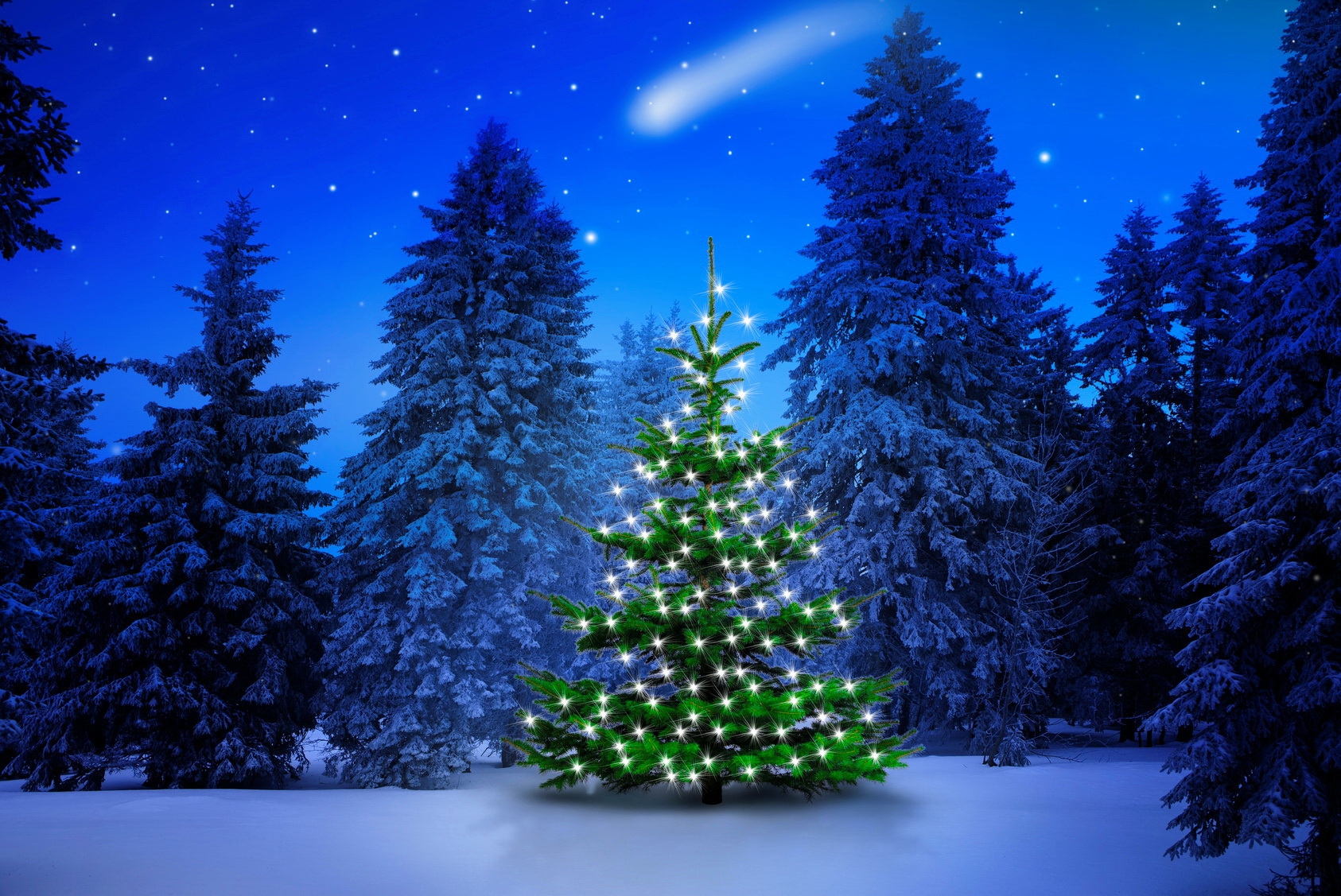 Download mobile wallpaper Winter, Light, Forest, Christmas, Holiday, Christmas Tree for free.