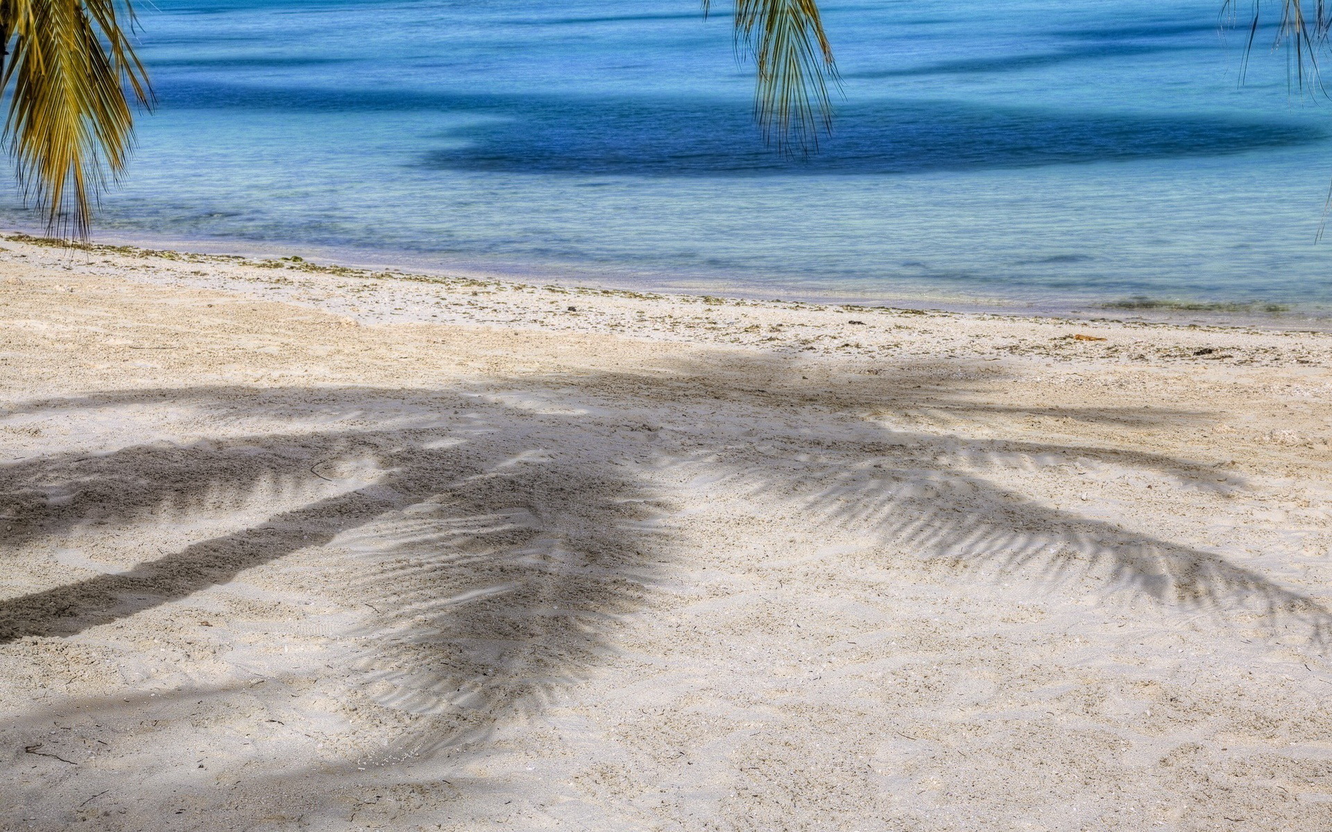 Descarga gratuita de fondo de pantalla para móvil de Playa, Tierra/naturaleza.