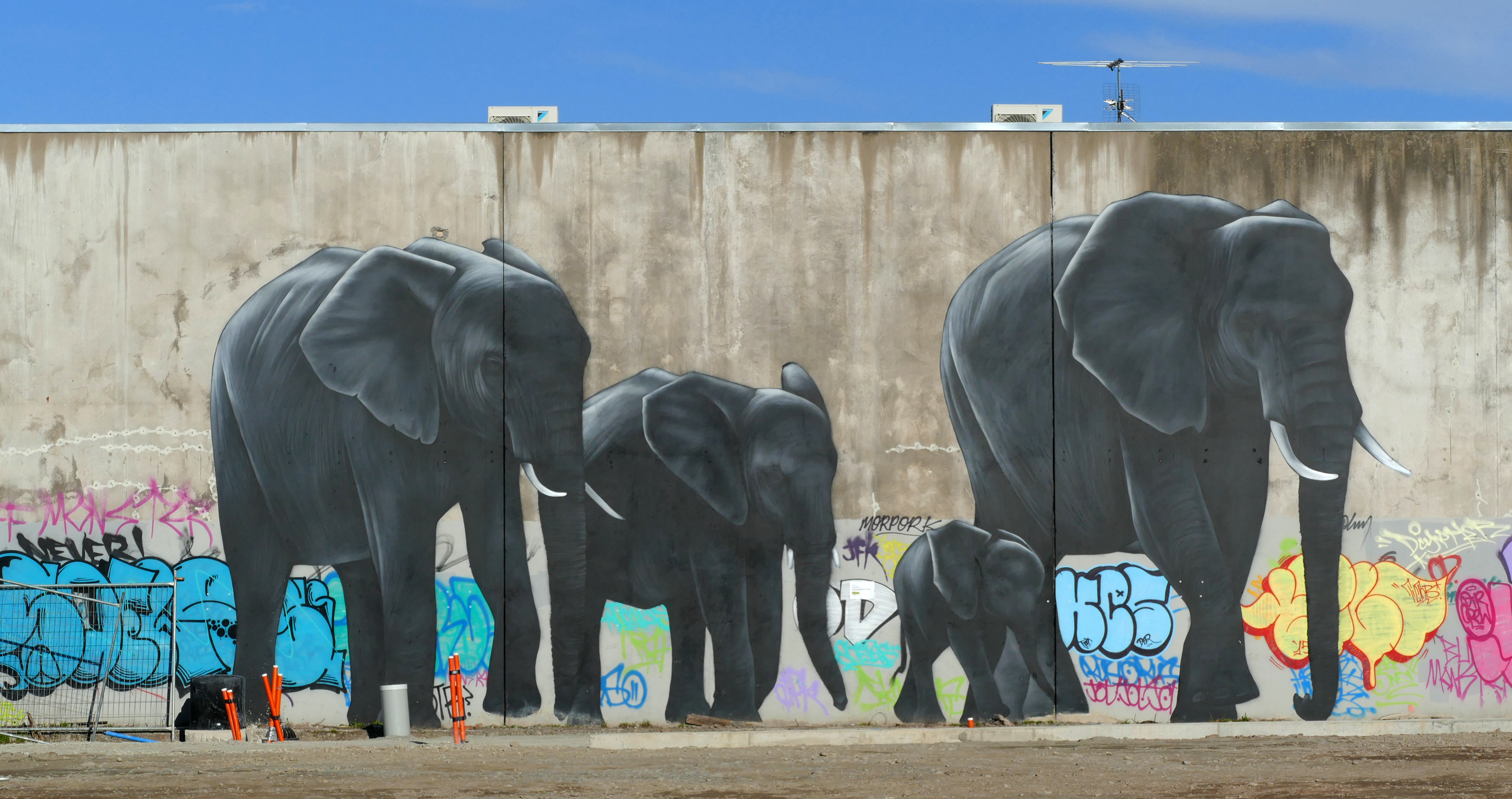 artistic, graffiti, elephant, mural, wall