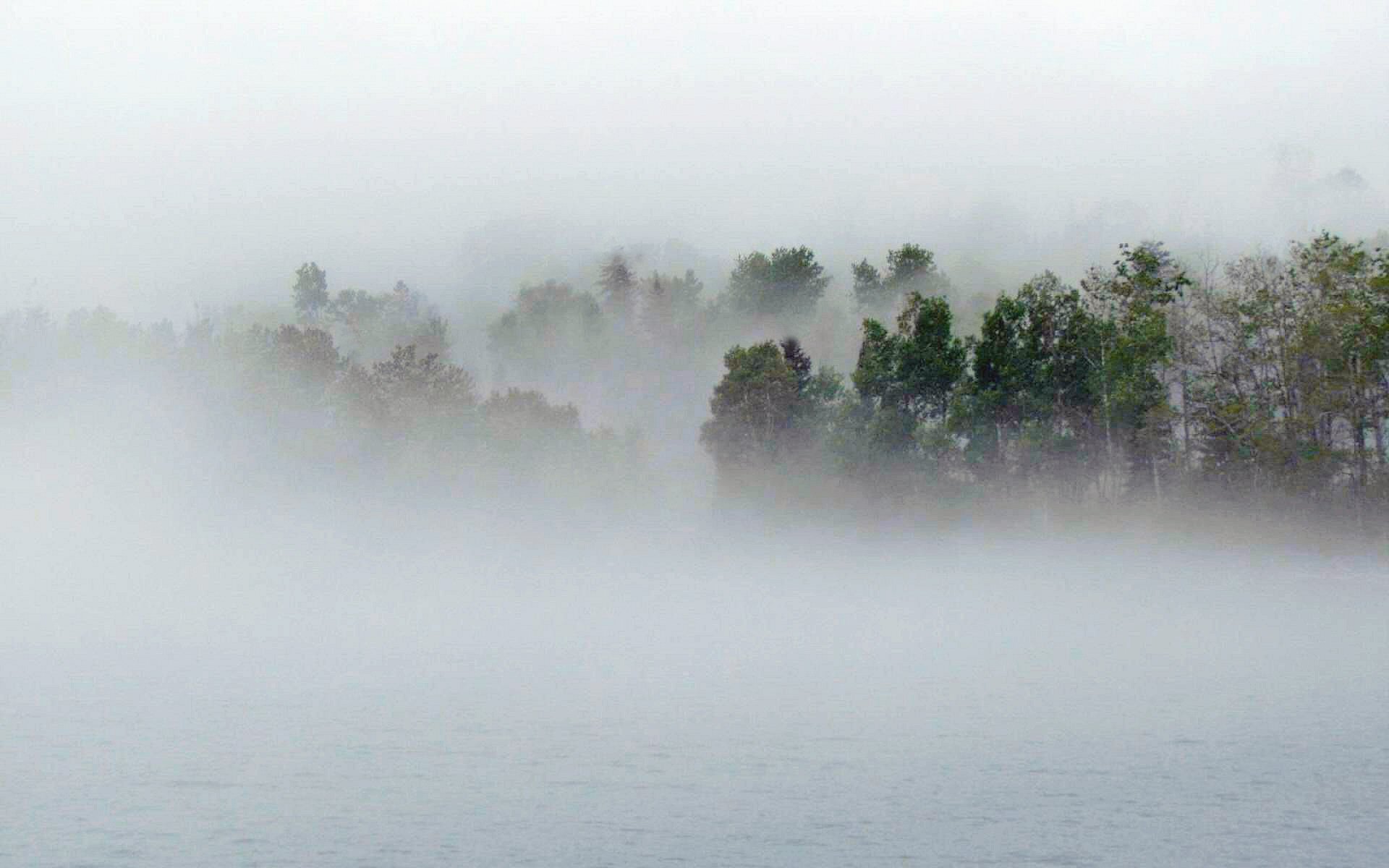 PCデスクトップに自然, 木, 湖, 霧, 地球, 風光明媚な画像を無料でダウンロード
