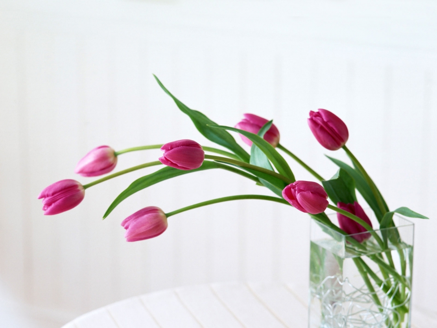 Téléchargez gratuitement l'image Plantes, Bouquets, Tulipes sur le bureau de votre PC