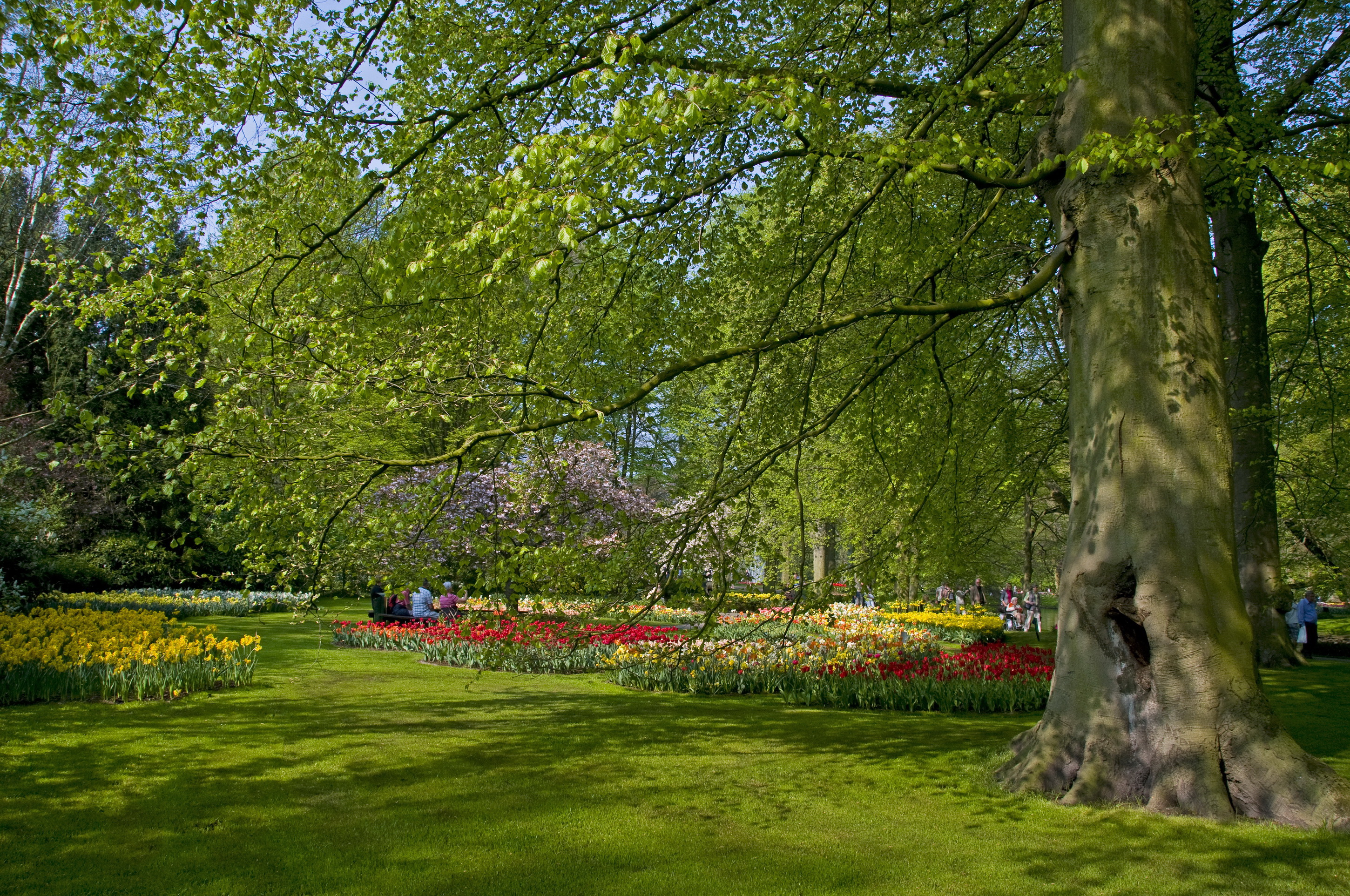 Laden Sie das Park, Fotografie-Bild kostenlos auf Ihren PC-Desktop herunter