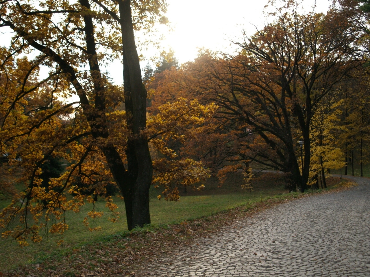 Handy-Wallpaper Landschaft, Bäume, Roads, Herbst kostenlos herunterladen.