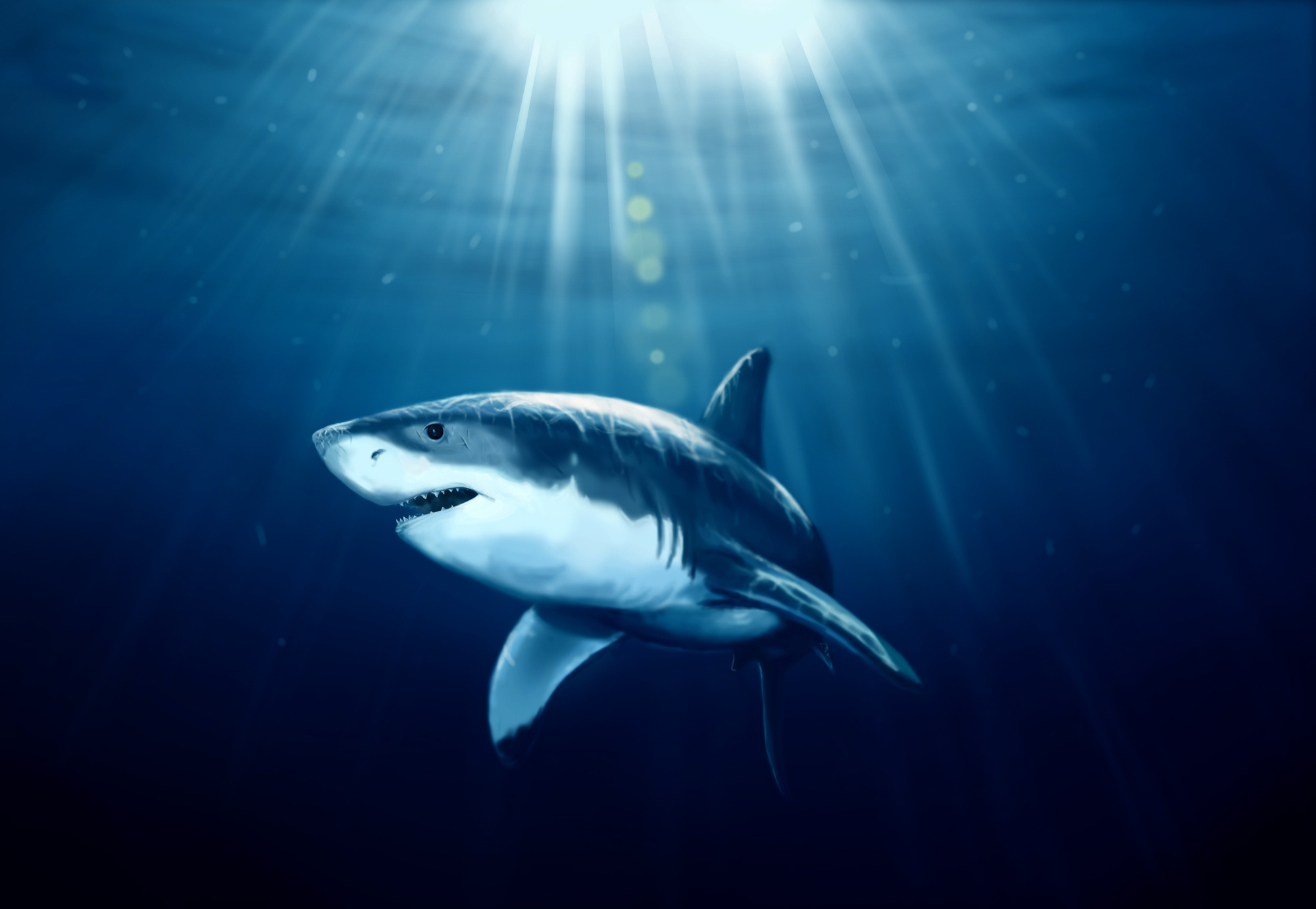 Free download wallpaper Sharks, 3D, Animal, Shark, Cgi on your PC desktop