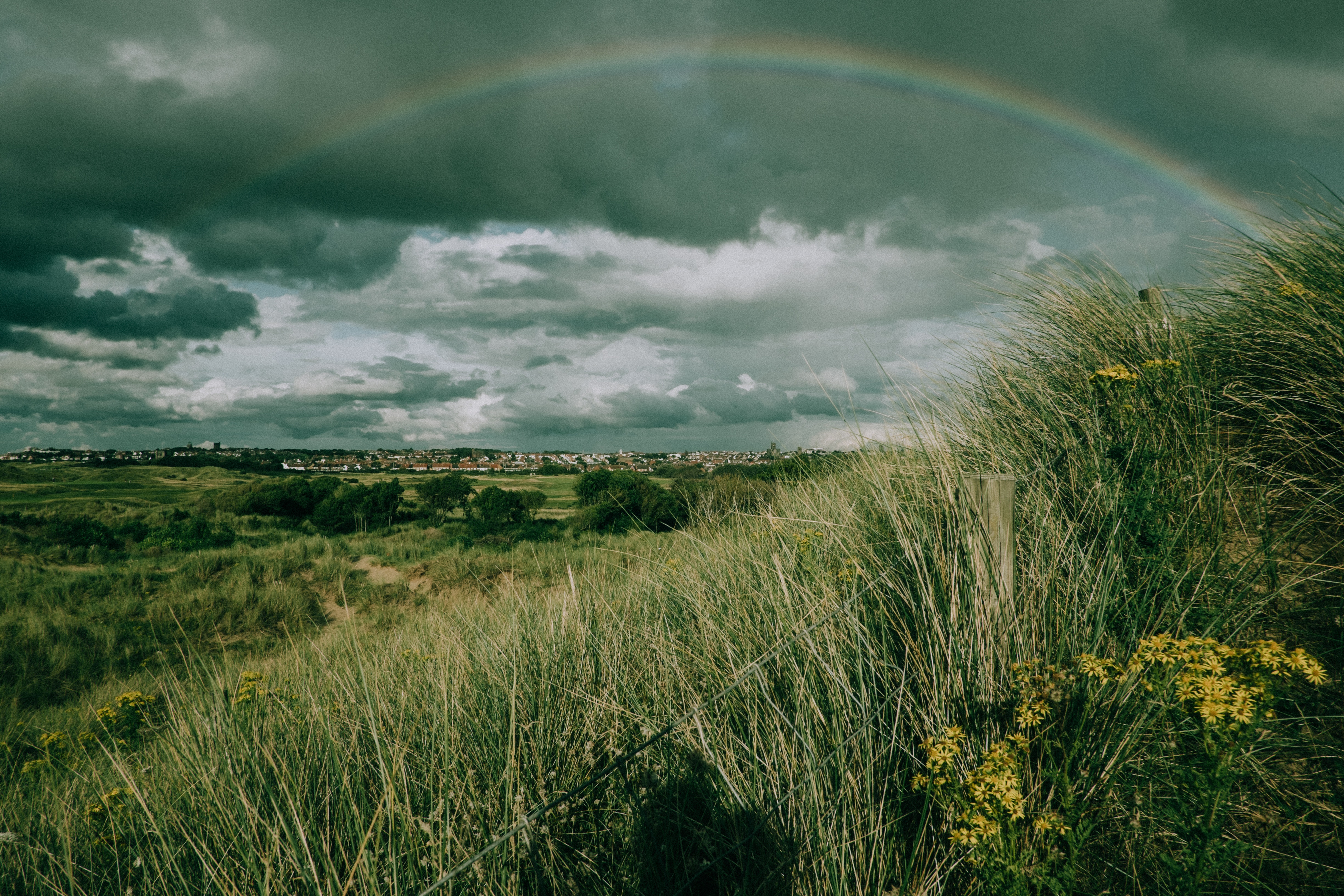 Laden Sie das Grass, Sky, Regenbogen, Feld, Natur-Bild kostenlos auf Ihren PC-Desktop herunter