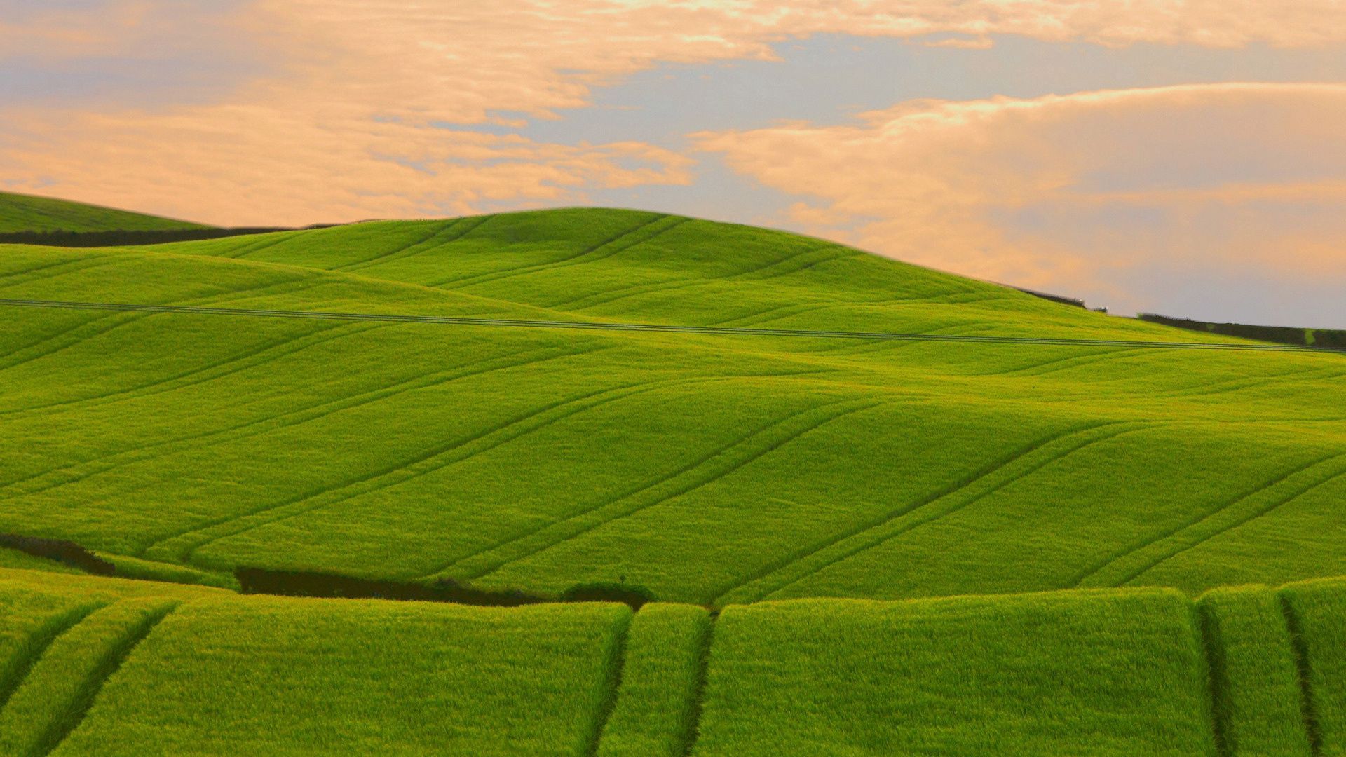 lines, nature, green, pattern, field, hills, traces
