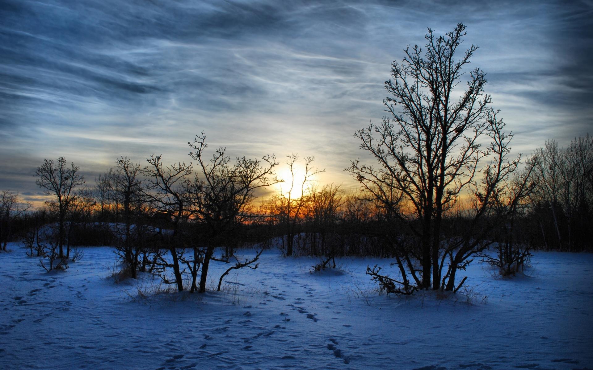 Скачать картинку Зима, Hdr, Земля/природа в телефон бесплатно.