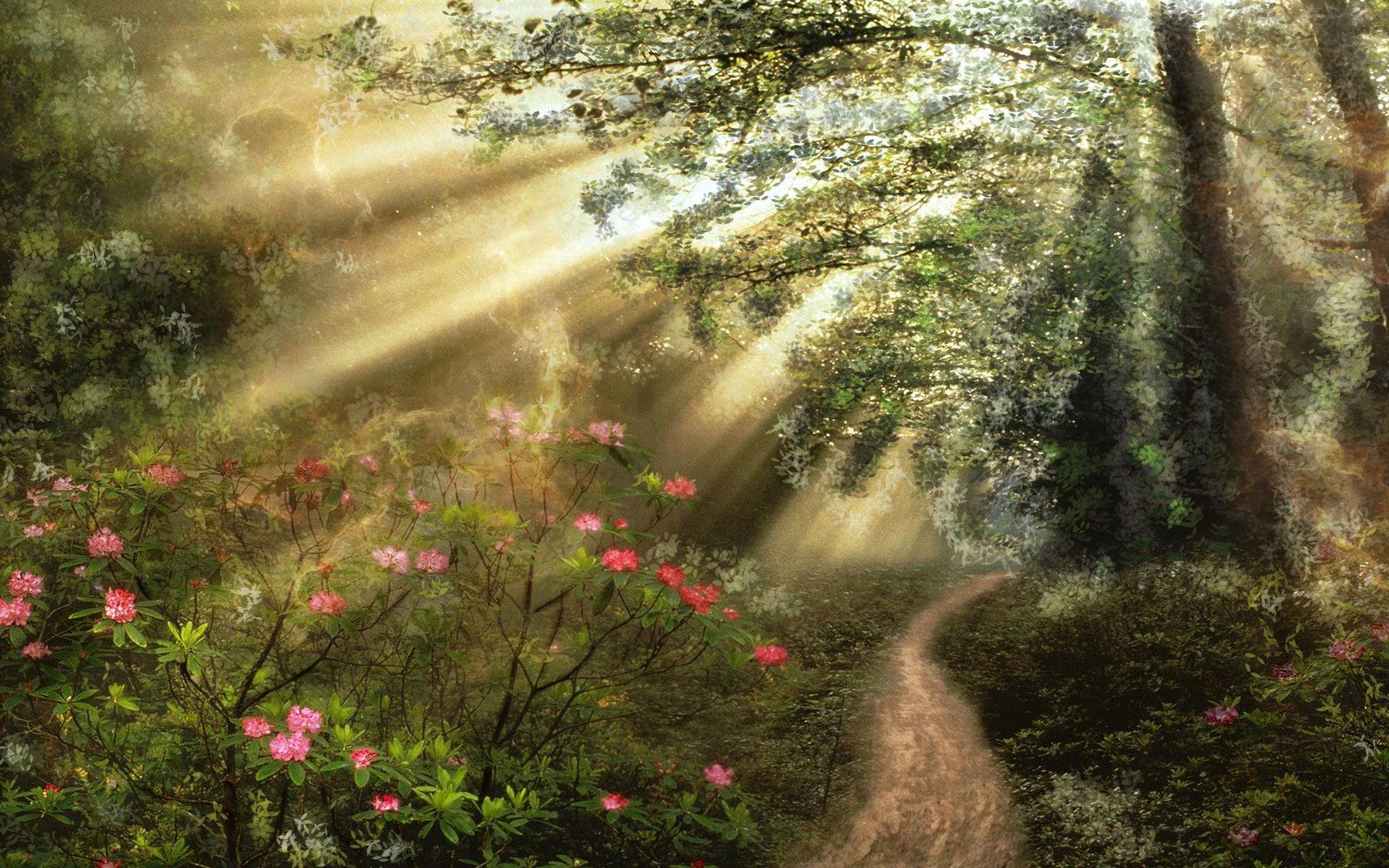 Free download wallpaper Flower, Forest, Path, Artistic, Sunbeam, Sunshine on your PC desktop