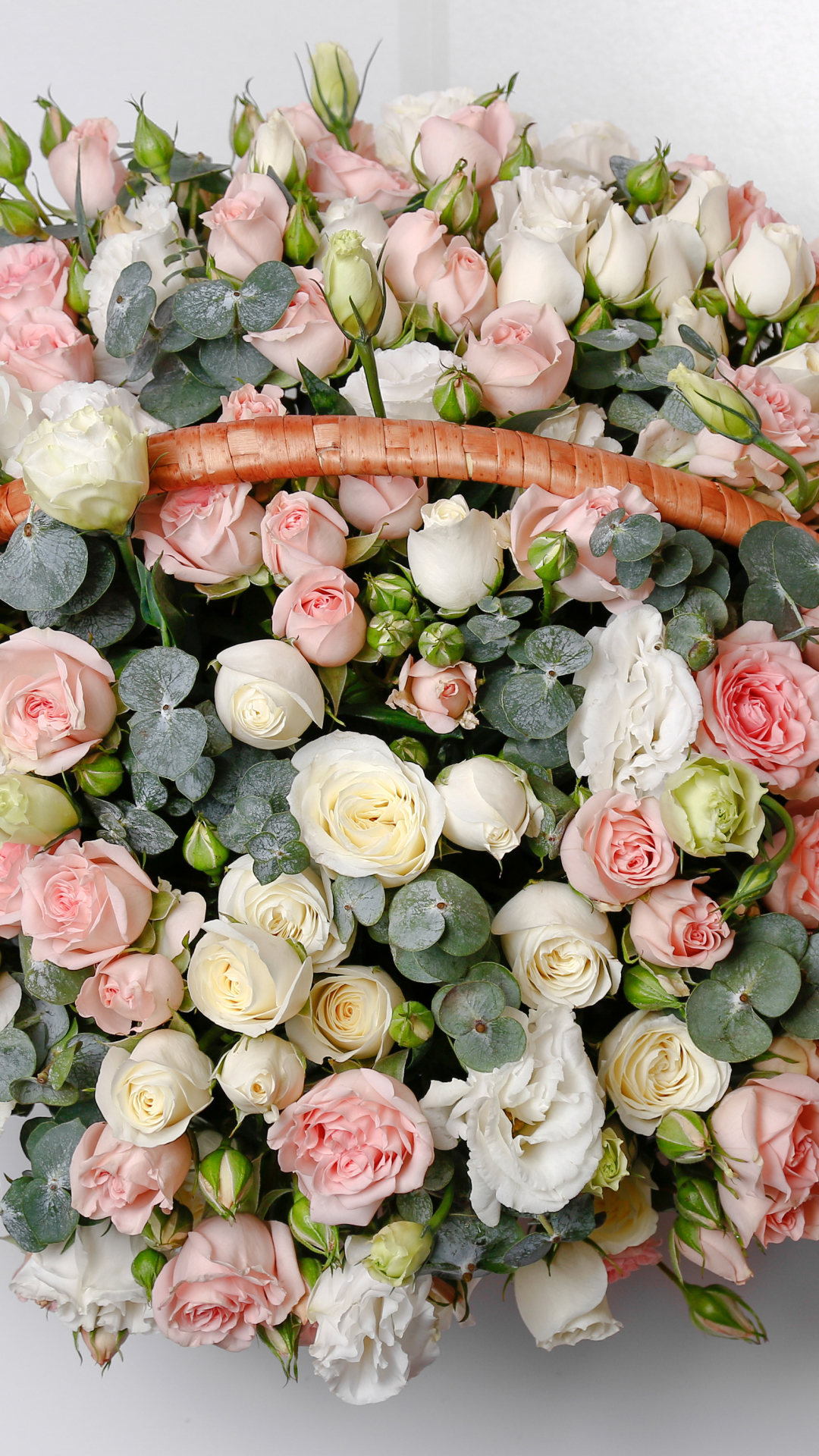 Download mobile wallpaper Flower, Rose, Earth, Pastel, White Flower, Man Made, Pink Flower for free.