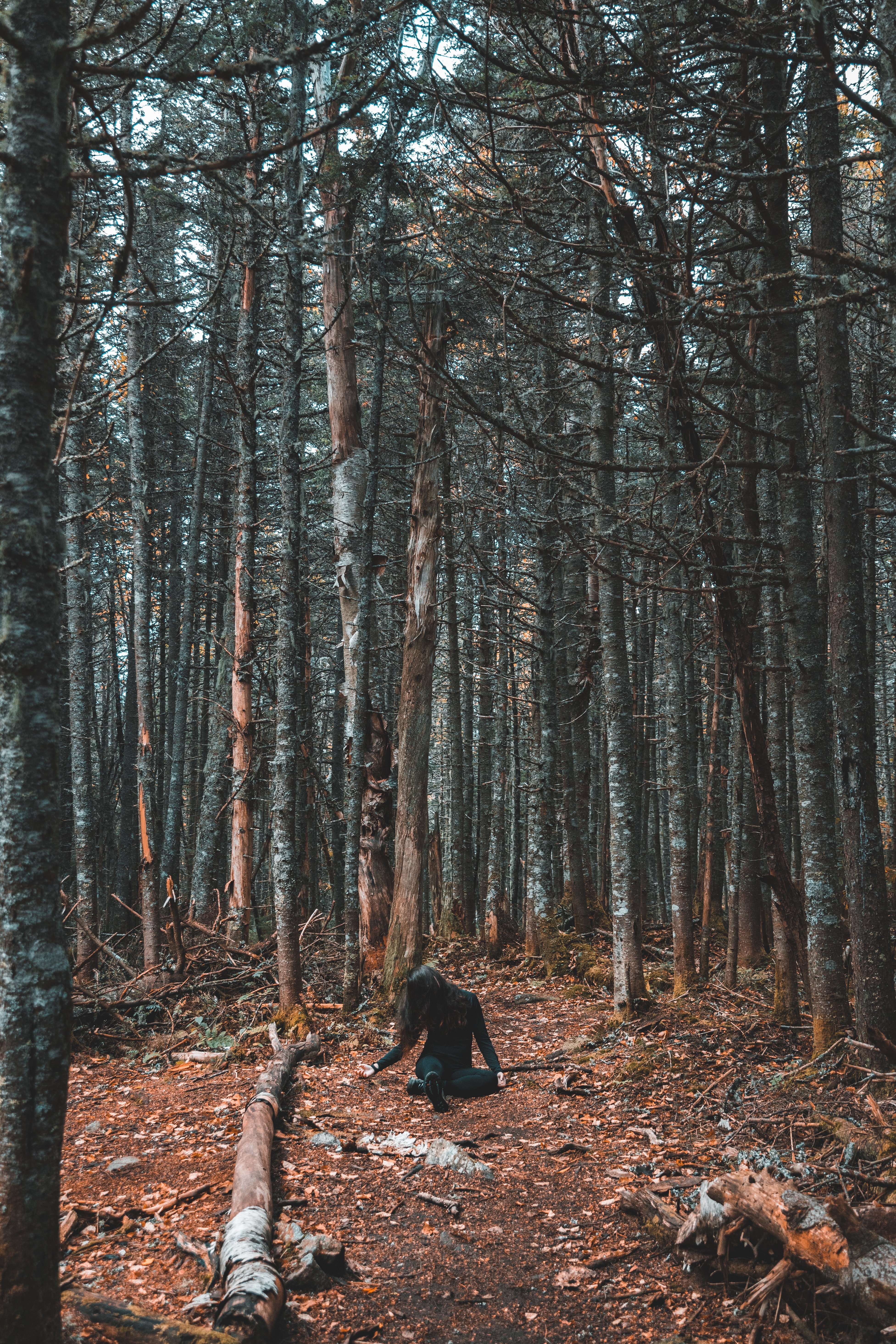 Download mobile wallpaper Trees, Nature, Autumn, Loneliness, Forest, Girl for free.
