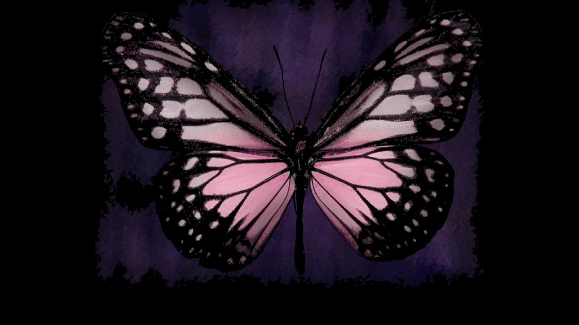 無料モバイル壁紙動物, 蝶, ピンクをダウンロードします。