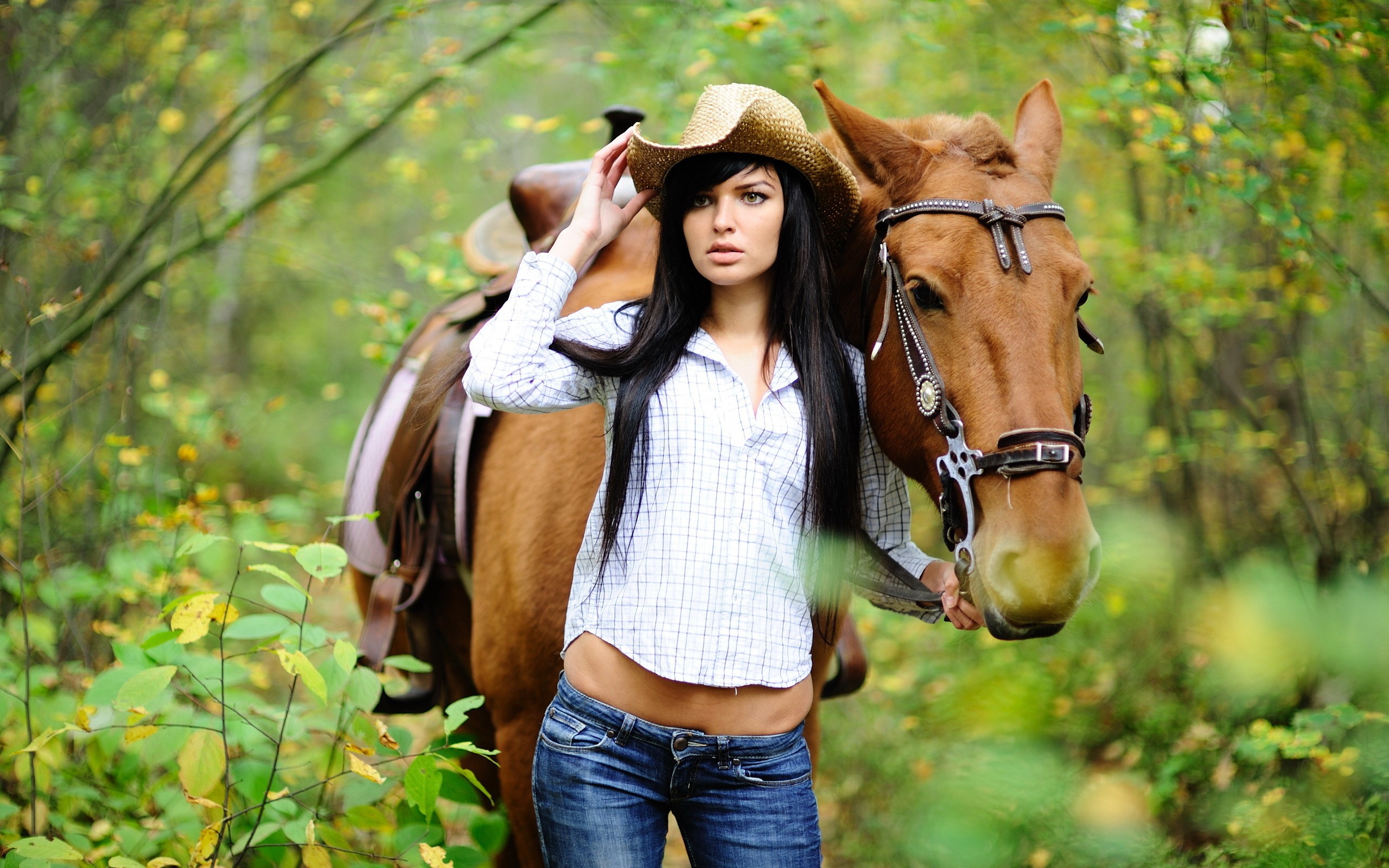 PCデスクトップに馬, 森, ムード, モデル, 女性, 他の画像を無料でダウンロード