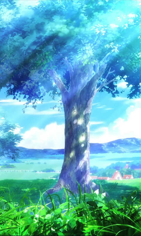 Download mobile wallpaper Anime, Nature, Grass, Tree, Sunbeam, Ef, Sunbean for free.