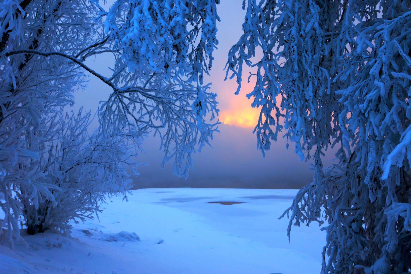 Free download wallpaper Winter, Sunset, Snow, Tree, Branch, Earth on your PC desktop