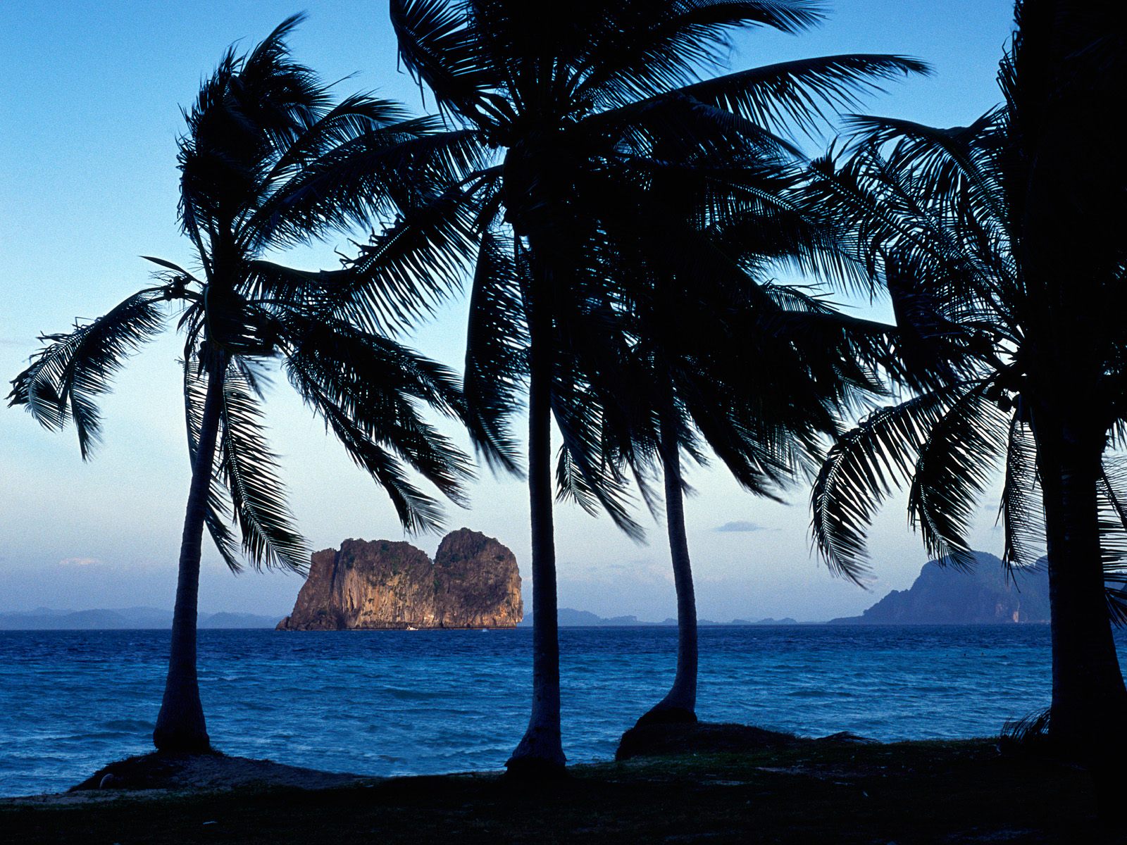 Скачать картинку Пляж, Пальмы, Океан, Земля/природа в телефон бесплатно.