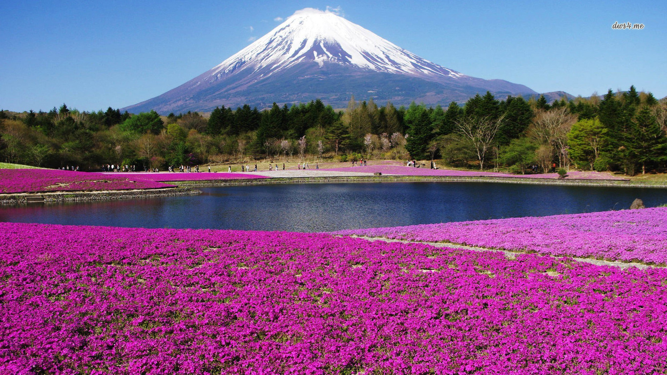 Téléchargez des papiers peints mobile Mont Fuji, Volcans, Montagne, Terre/nature gratuitement.