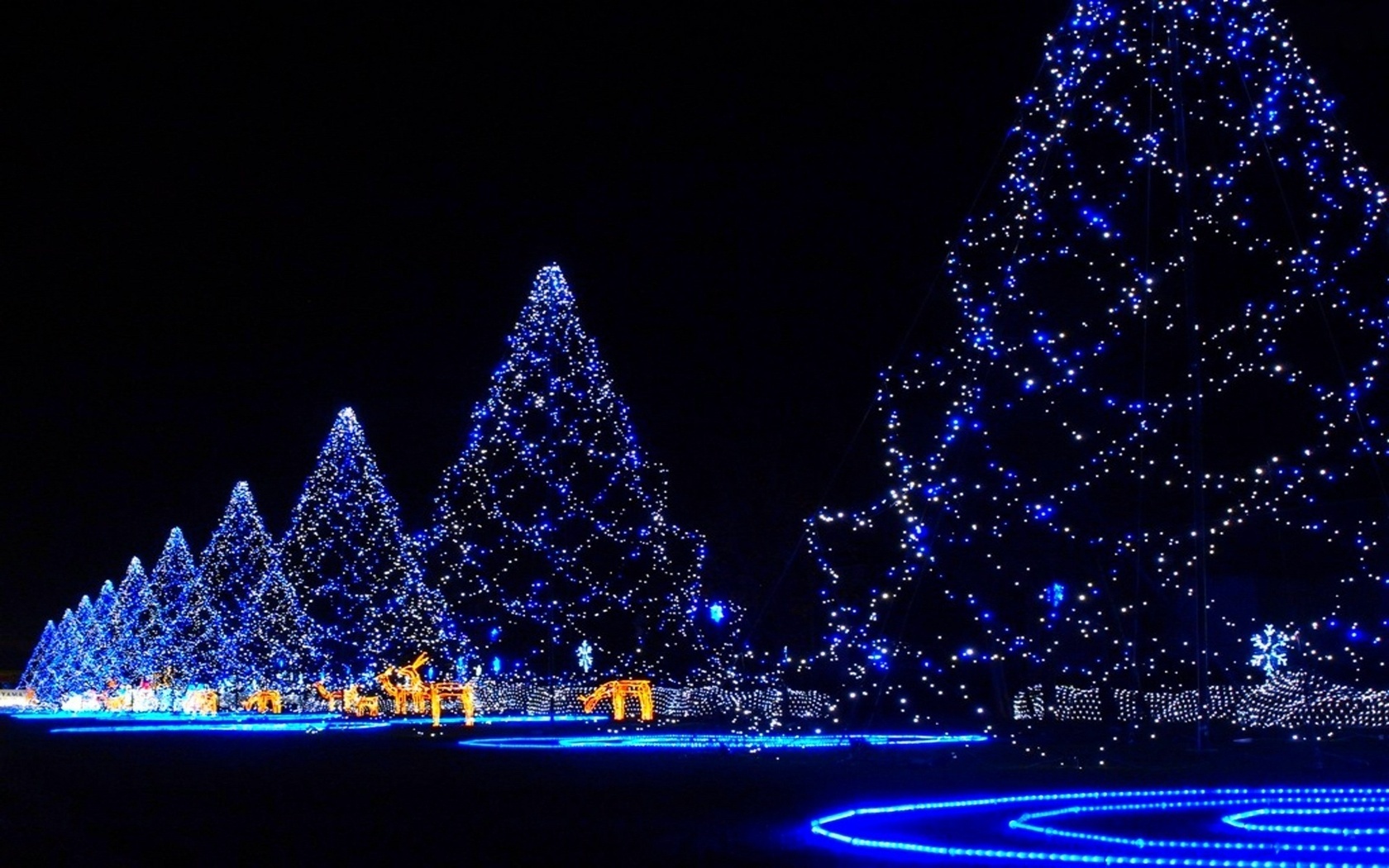 560229 скачать обои синий, праздничные, рождество, рождественская елка, ночь, свет, рождественские огни - заставки и картинки бесплатно